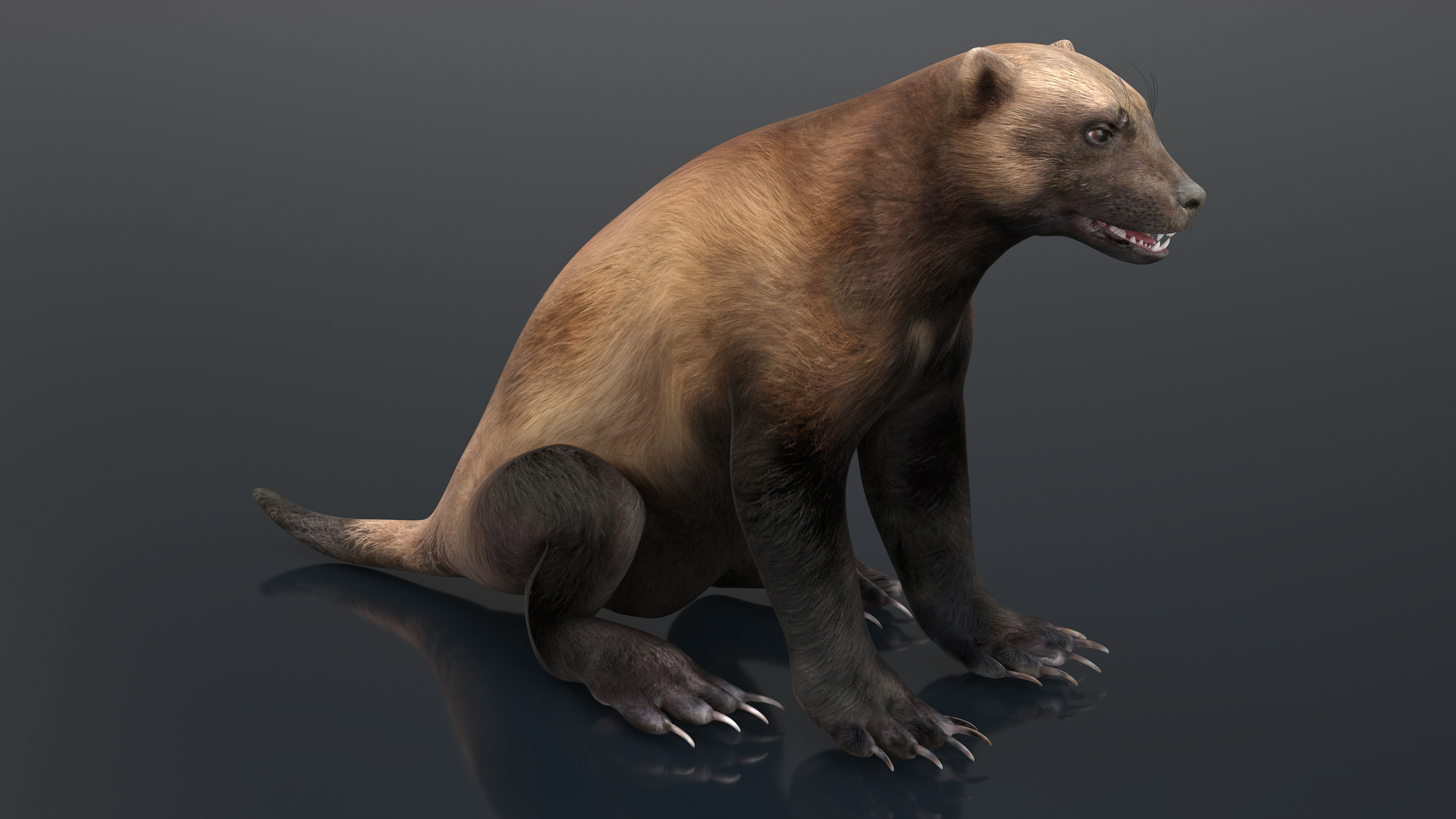 3D Wolverine Dark Color Sitting Pose model