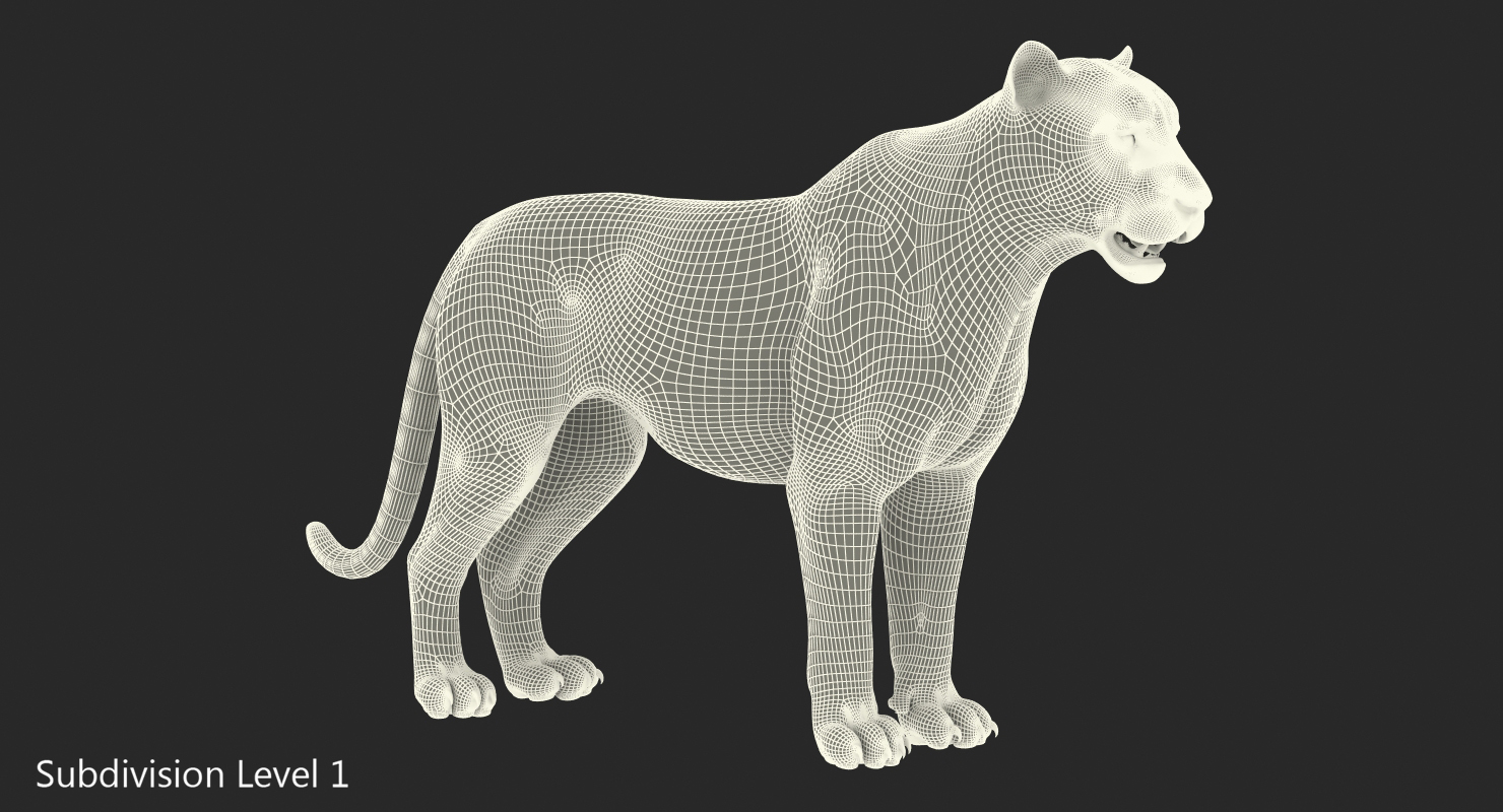 Tiger 3D model