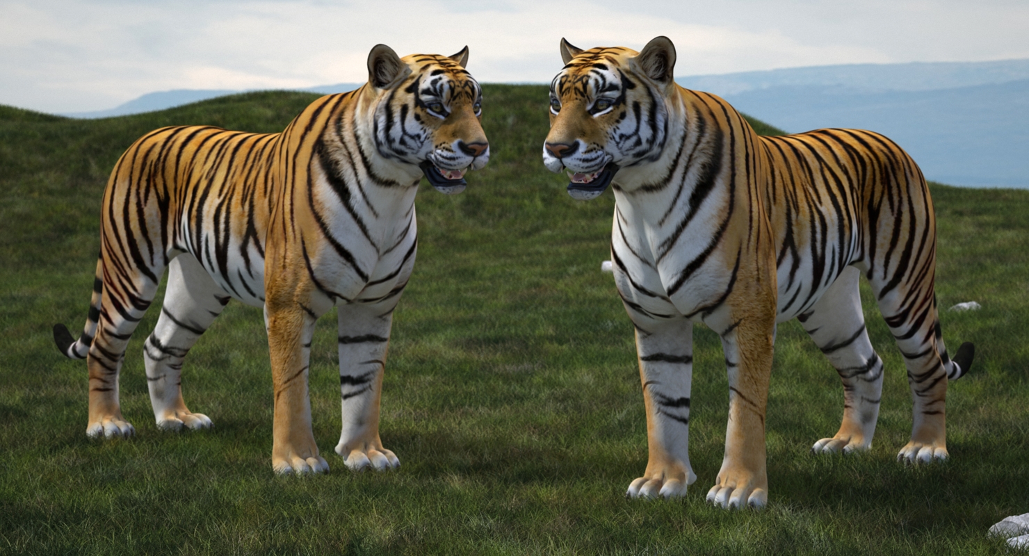 Tiger 3D model
