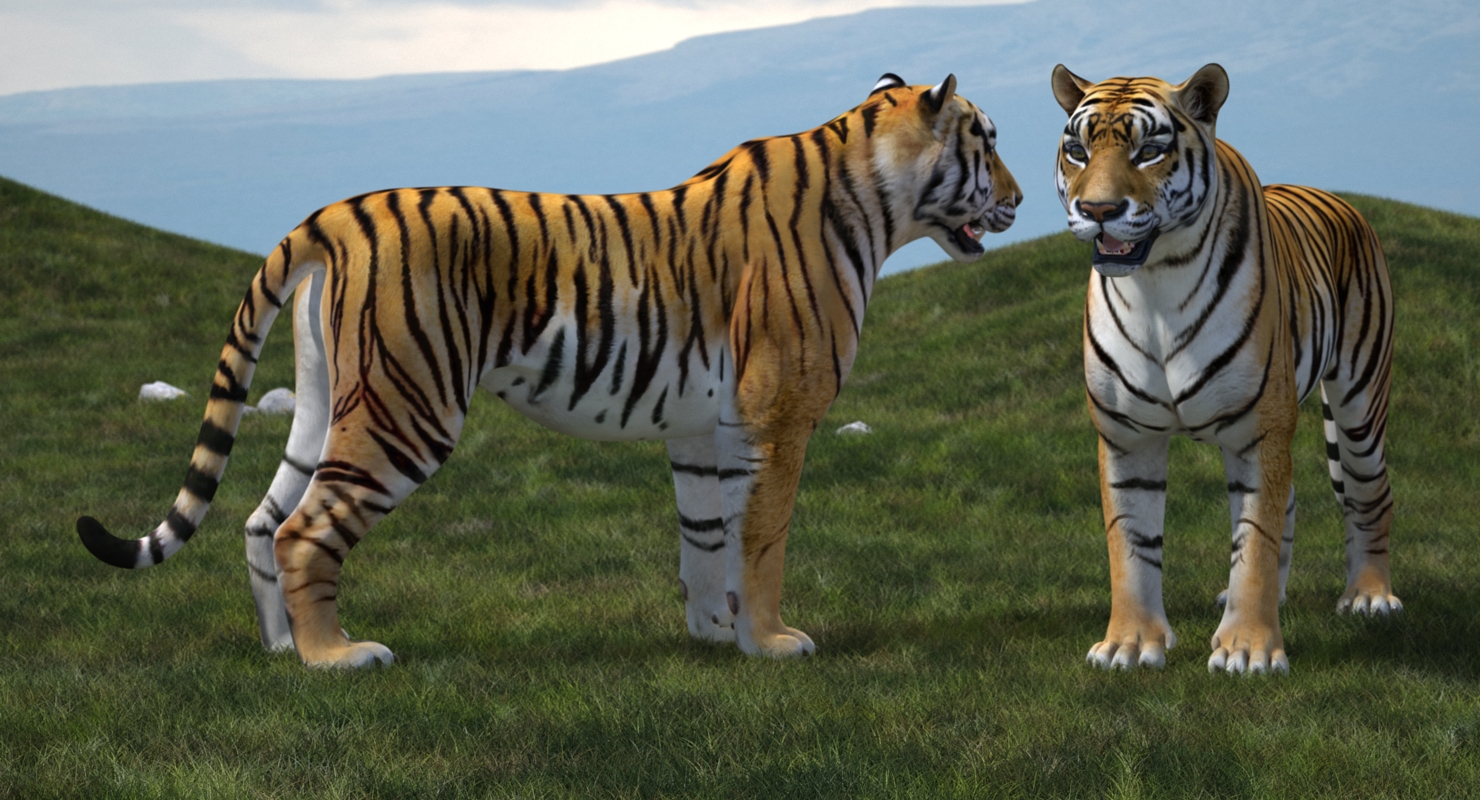 Tiger 3D model