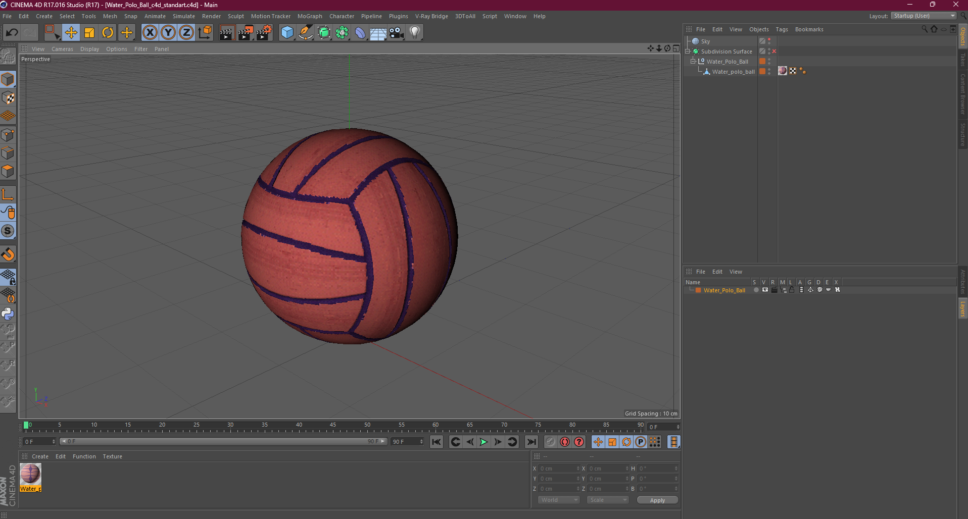 3D model Water Polo Ball