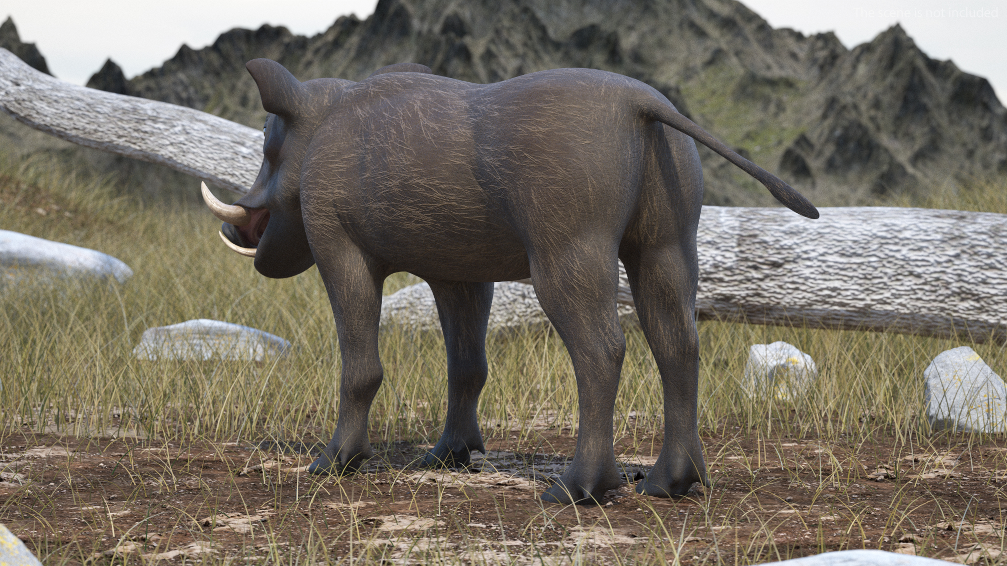 Southern Warthog Rigged for Maya 3D