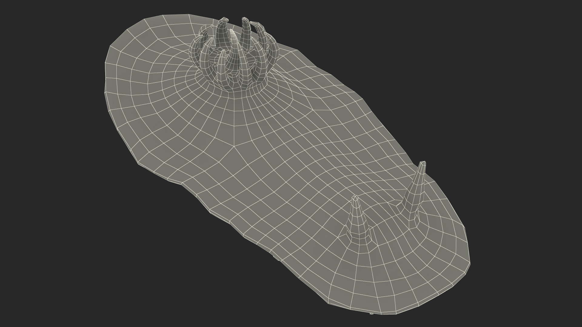 3D model Blue Sea Slug Rigged