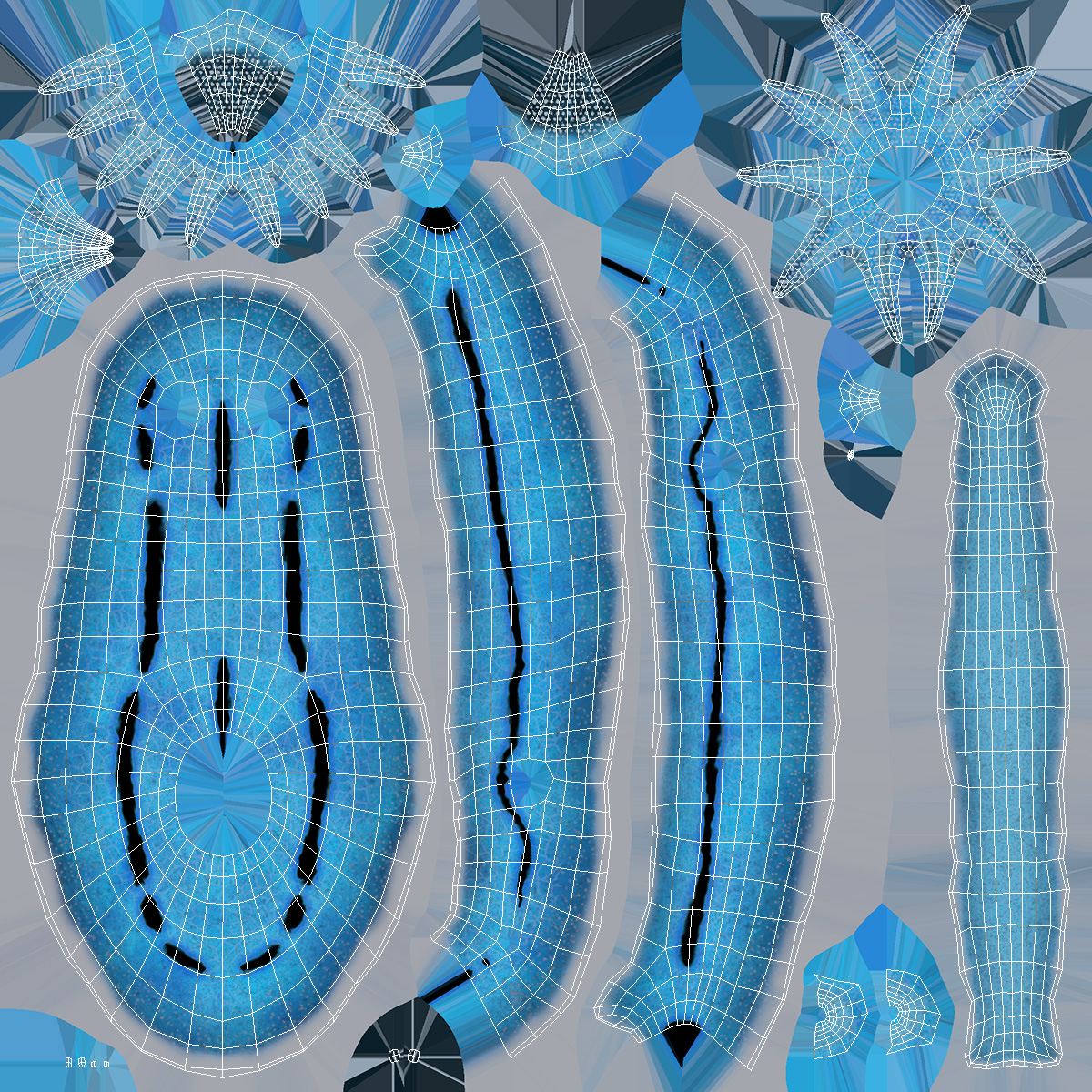 3D model Blue Sea Slug Rigged