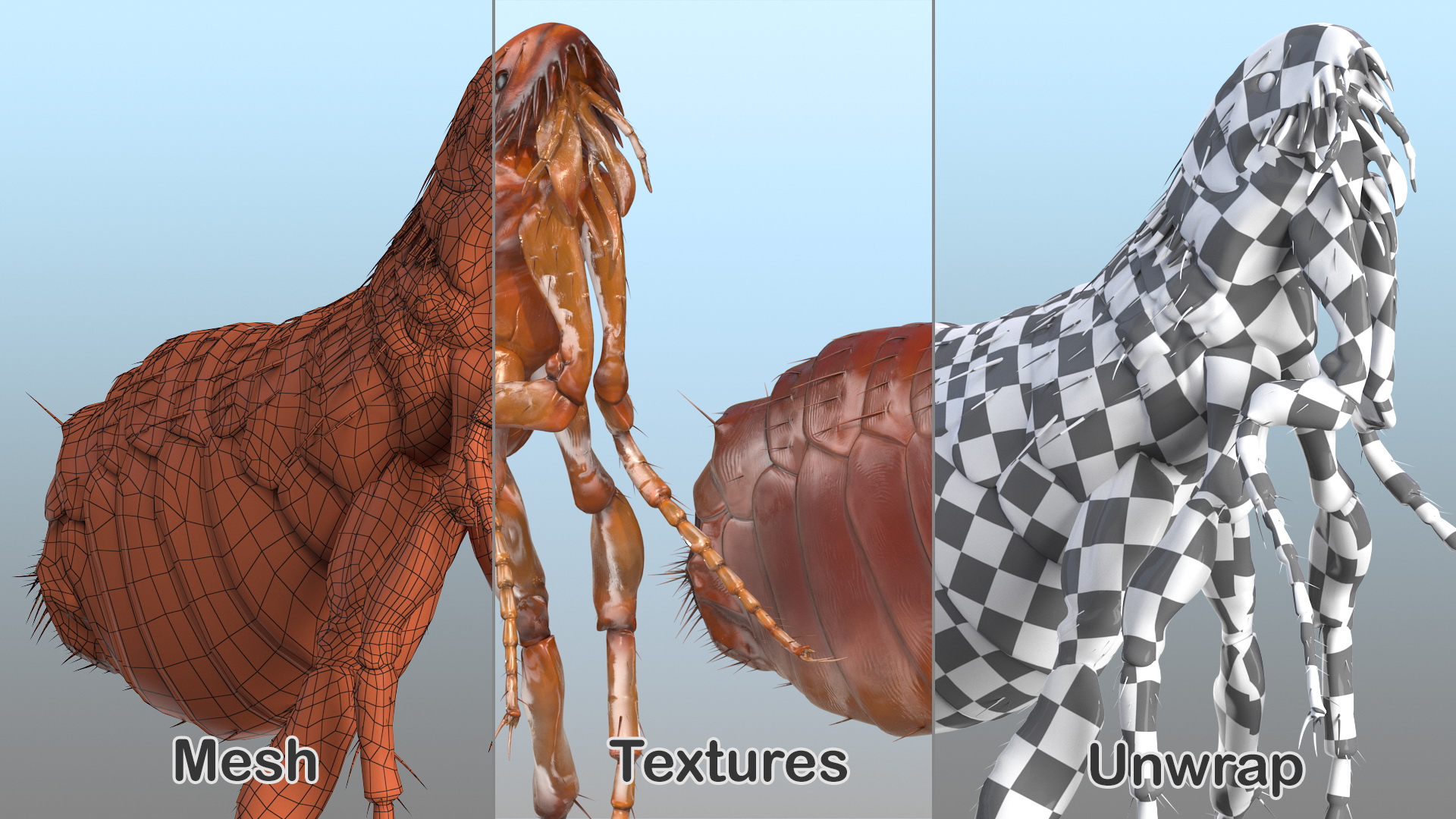 Flea Jumping Pose 3D
