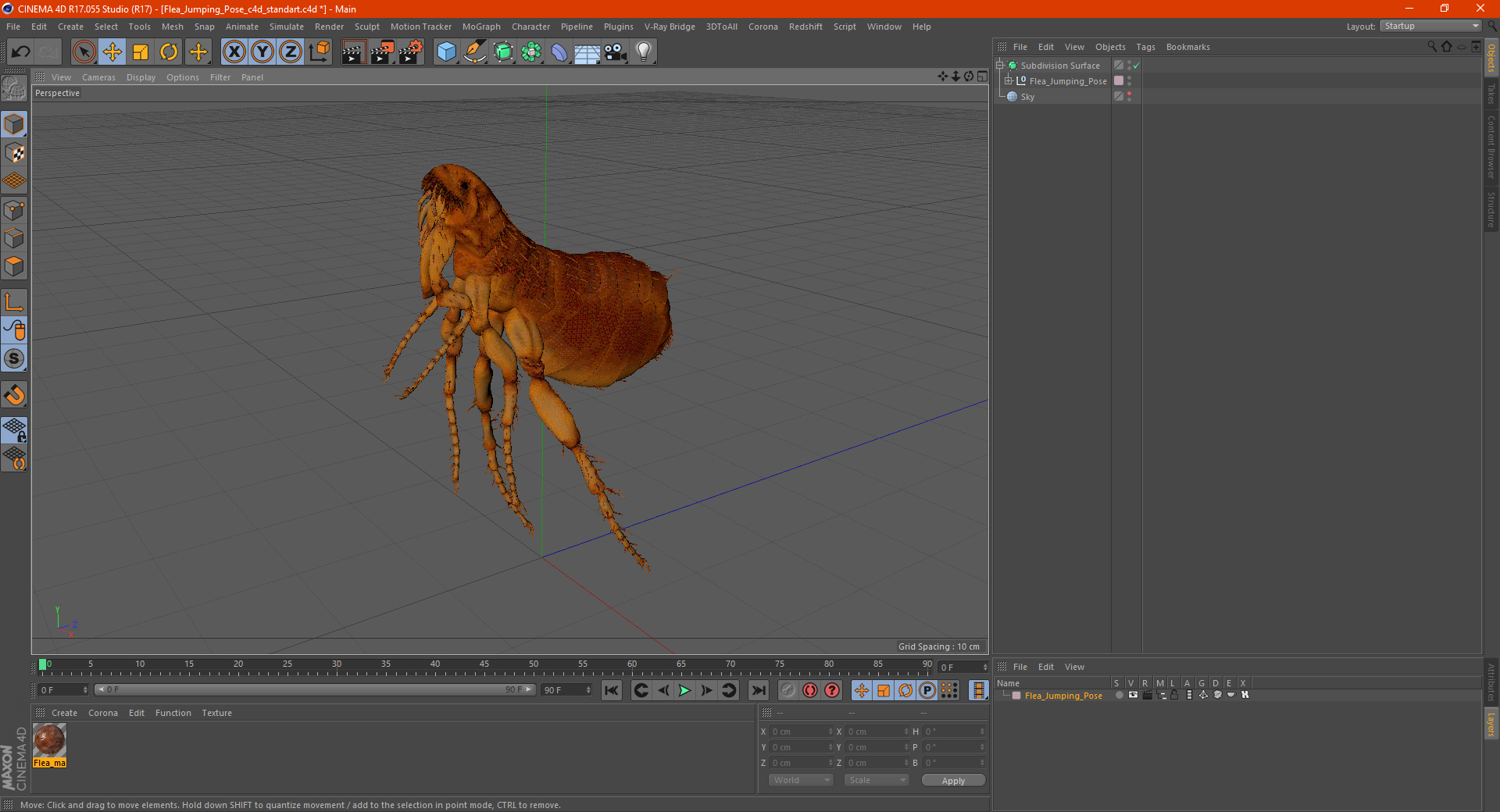 Flea Jumping Pose 3D