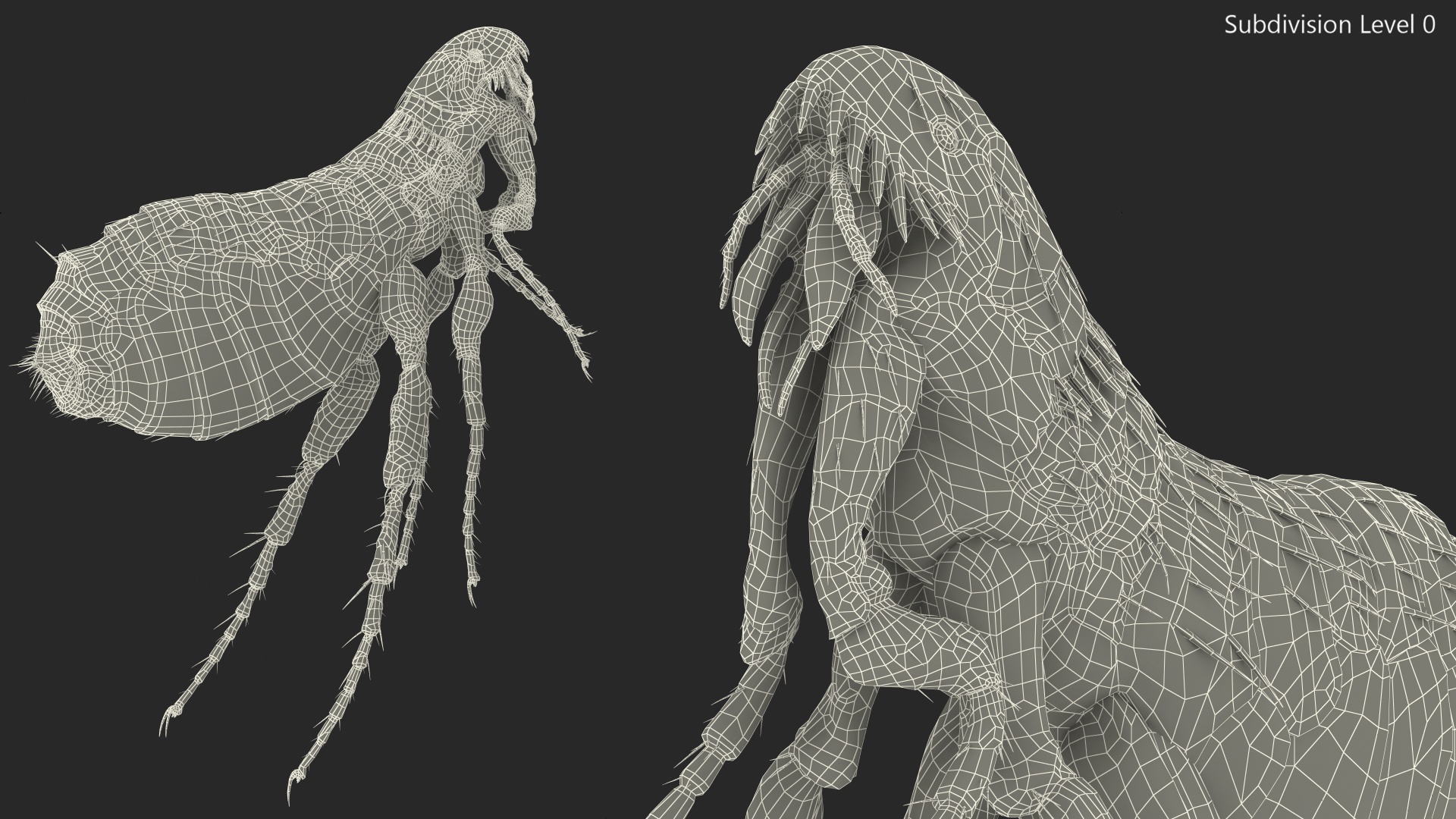 Flea Jumping Pose 3D