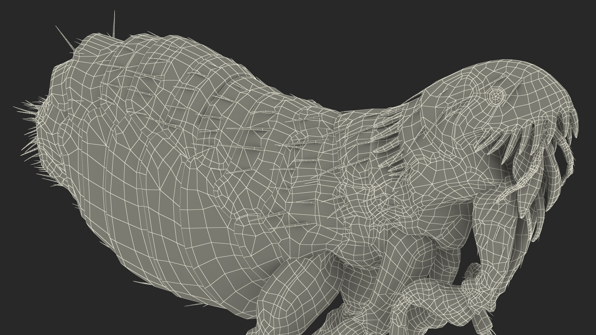 Flea Jumping Pose 3D