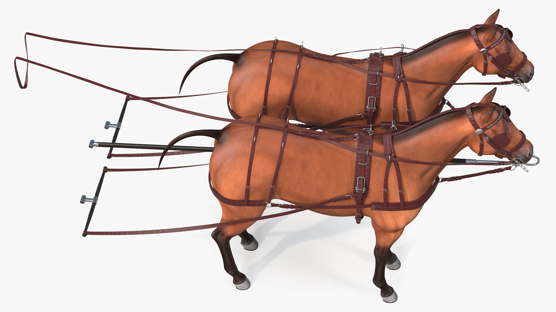 Pair of Breast Collar Harness 3D model