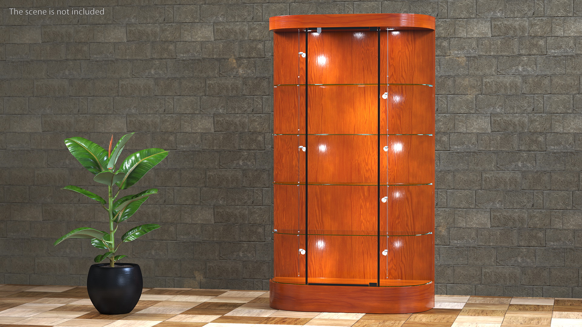 3D model Curved Wall Display Case Brown