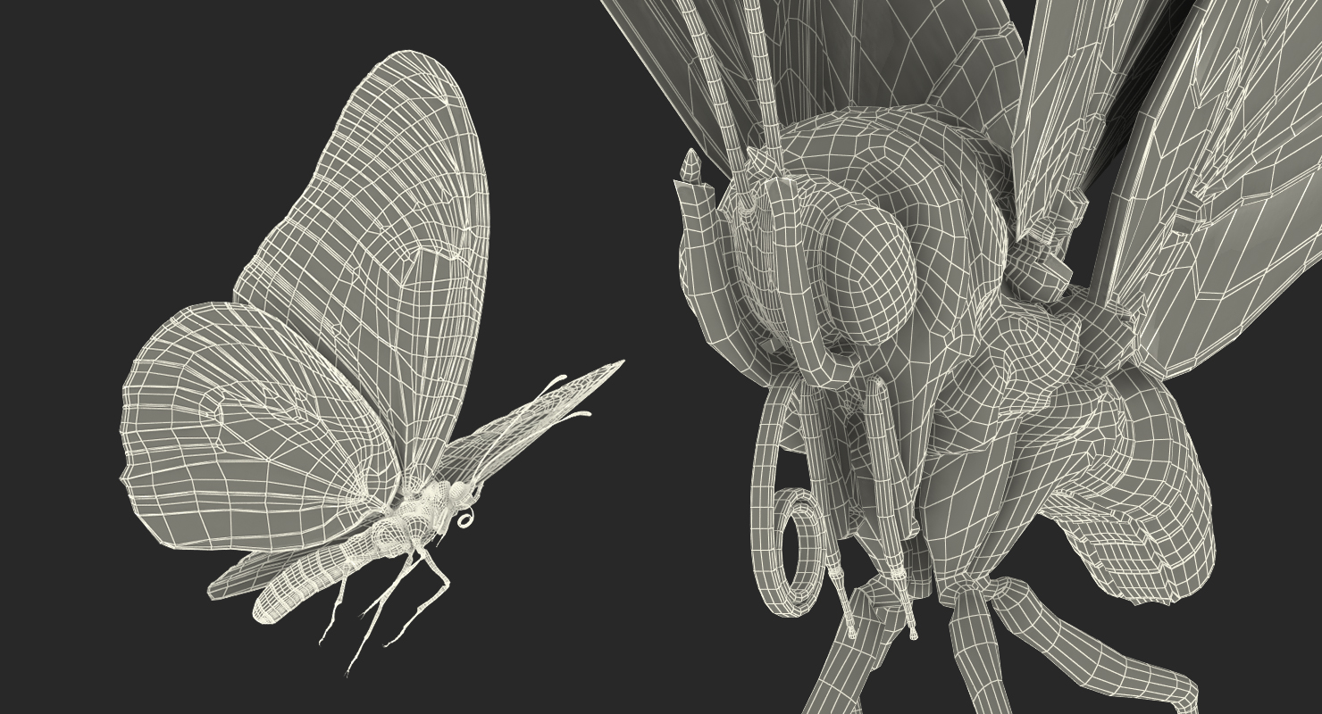 3D Monarch Butterfly Flying Pose with Fur model