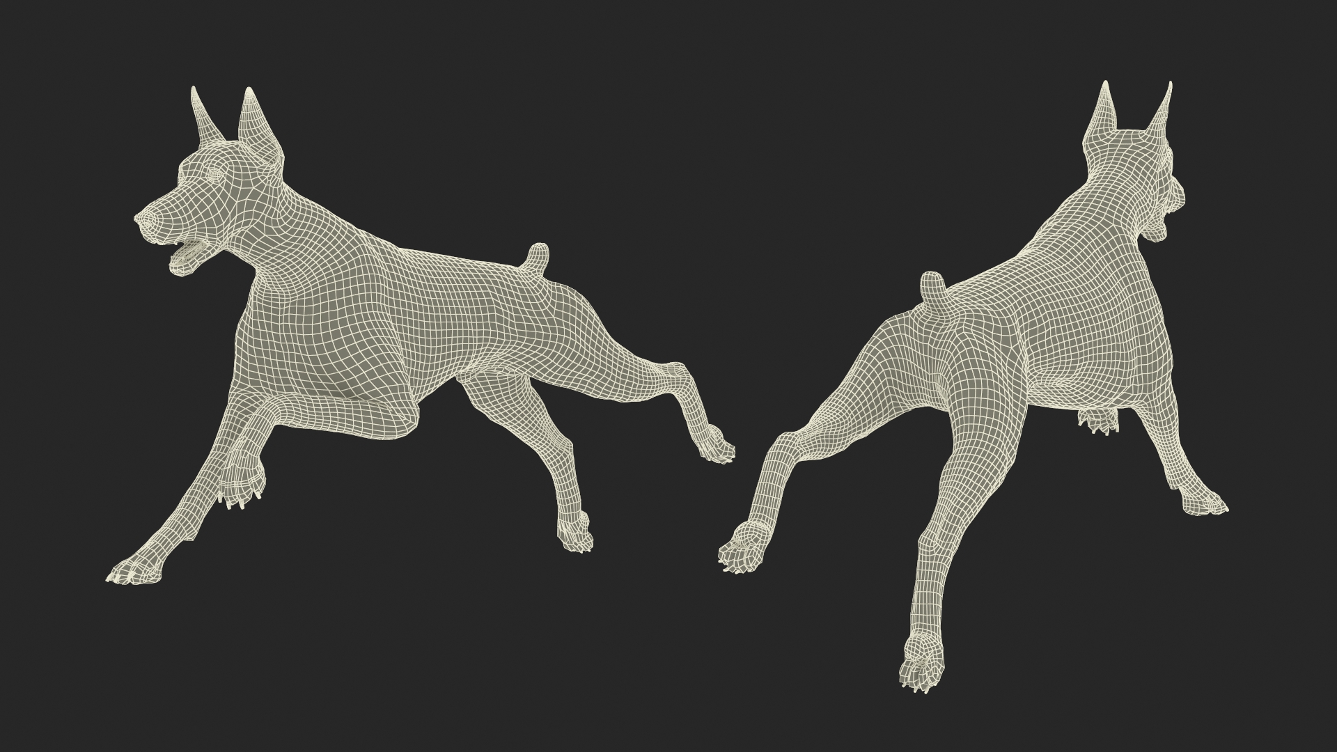 3D Doberman Pinscher Dog Running Fur model