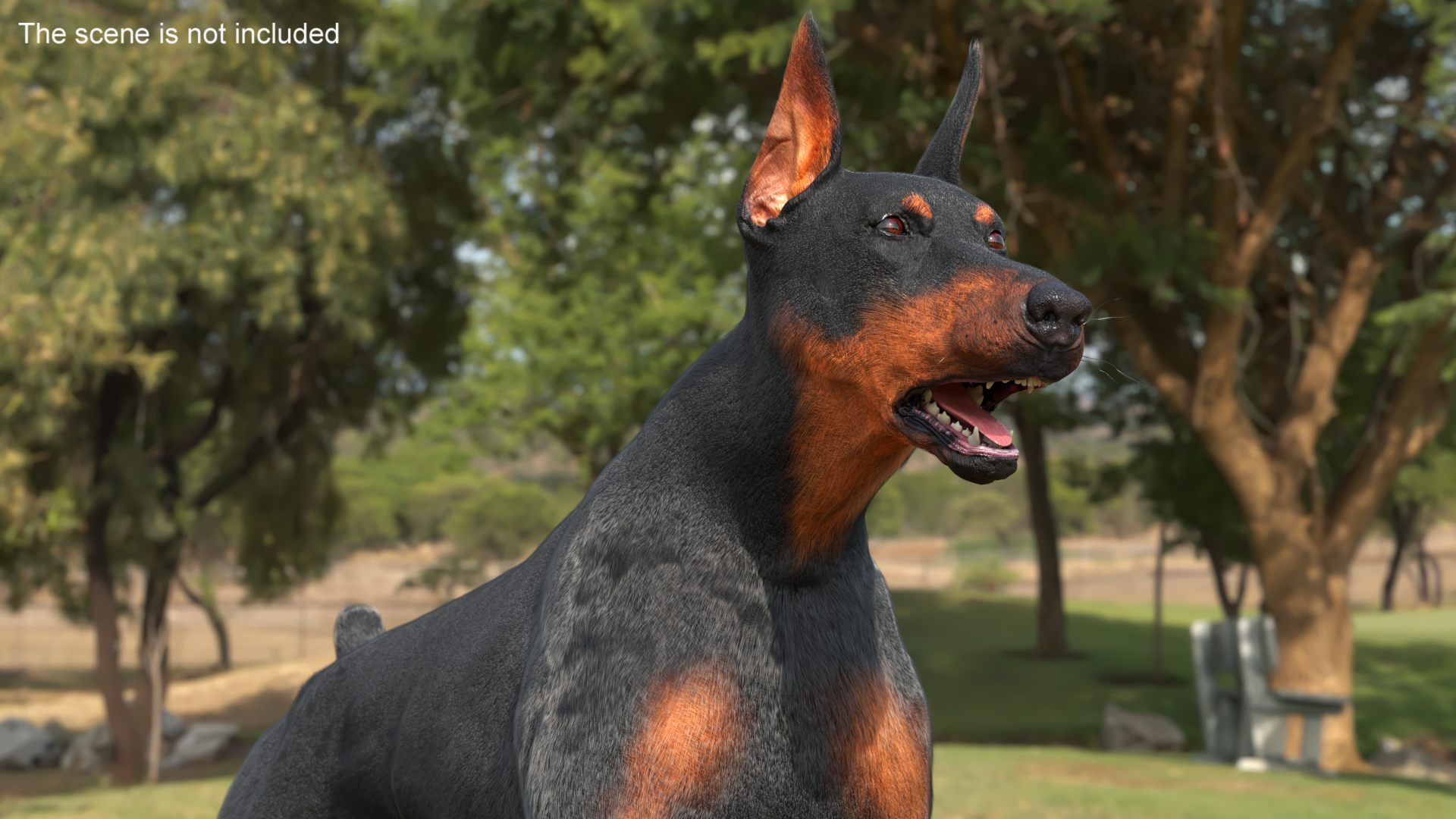 3D Doberman Pinscher Dog Running Fur model