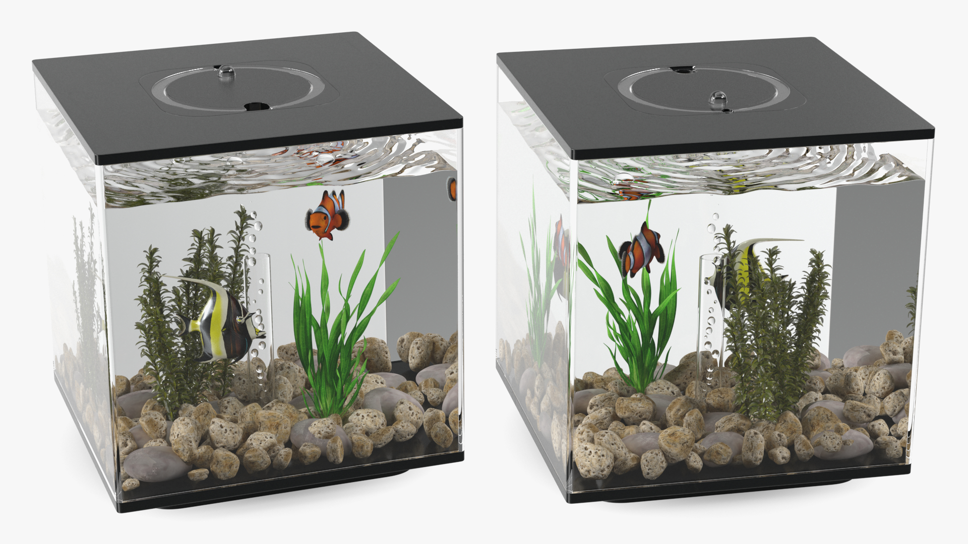 Aquarium Cube Black 3D model