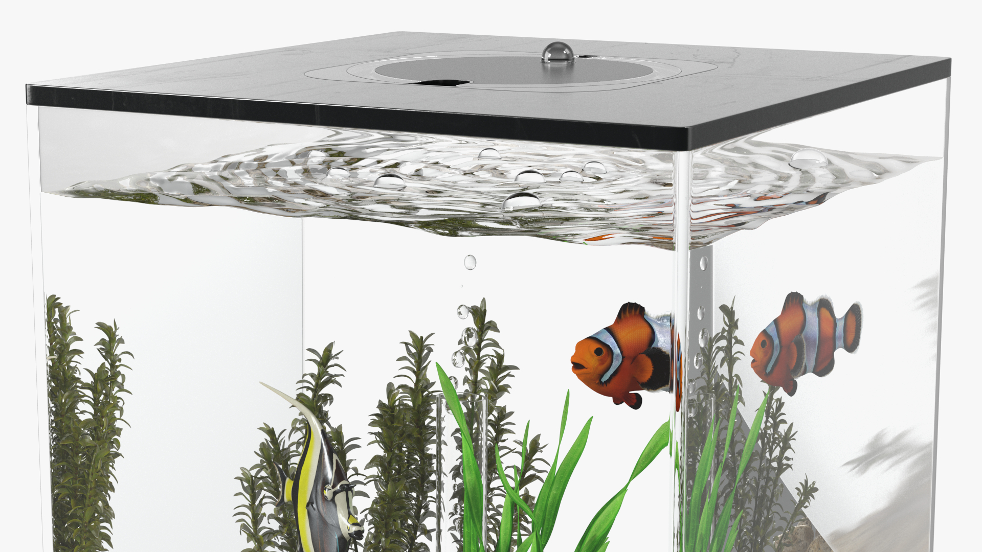 Aquarium Cube Black 3D model