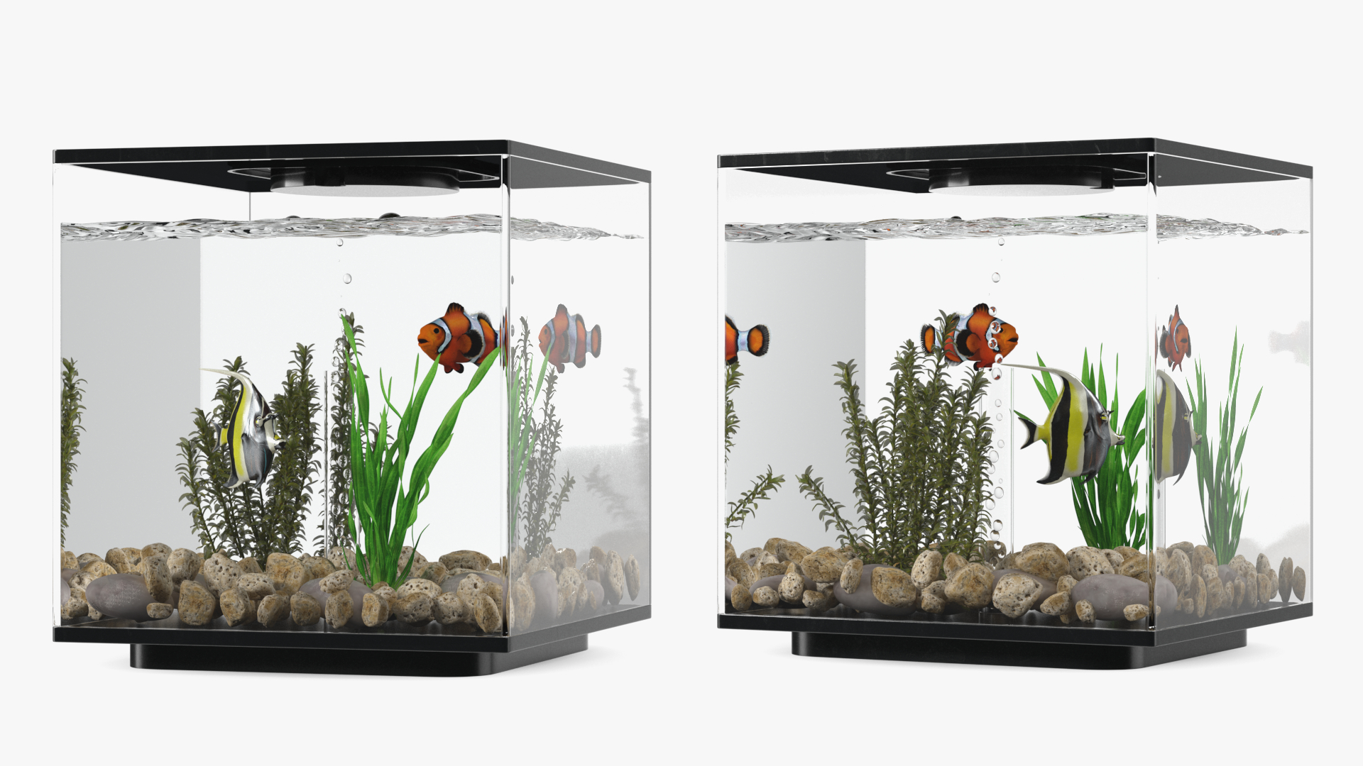 Aquarium Cube Black 3D model
