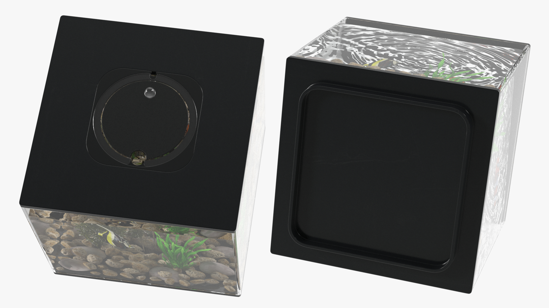 Aquarium Cube Black 3D model