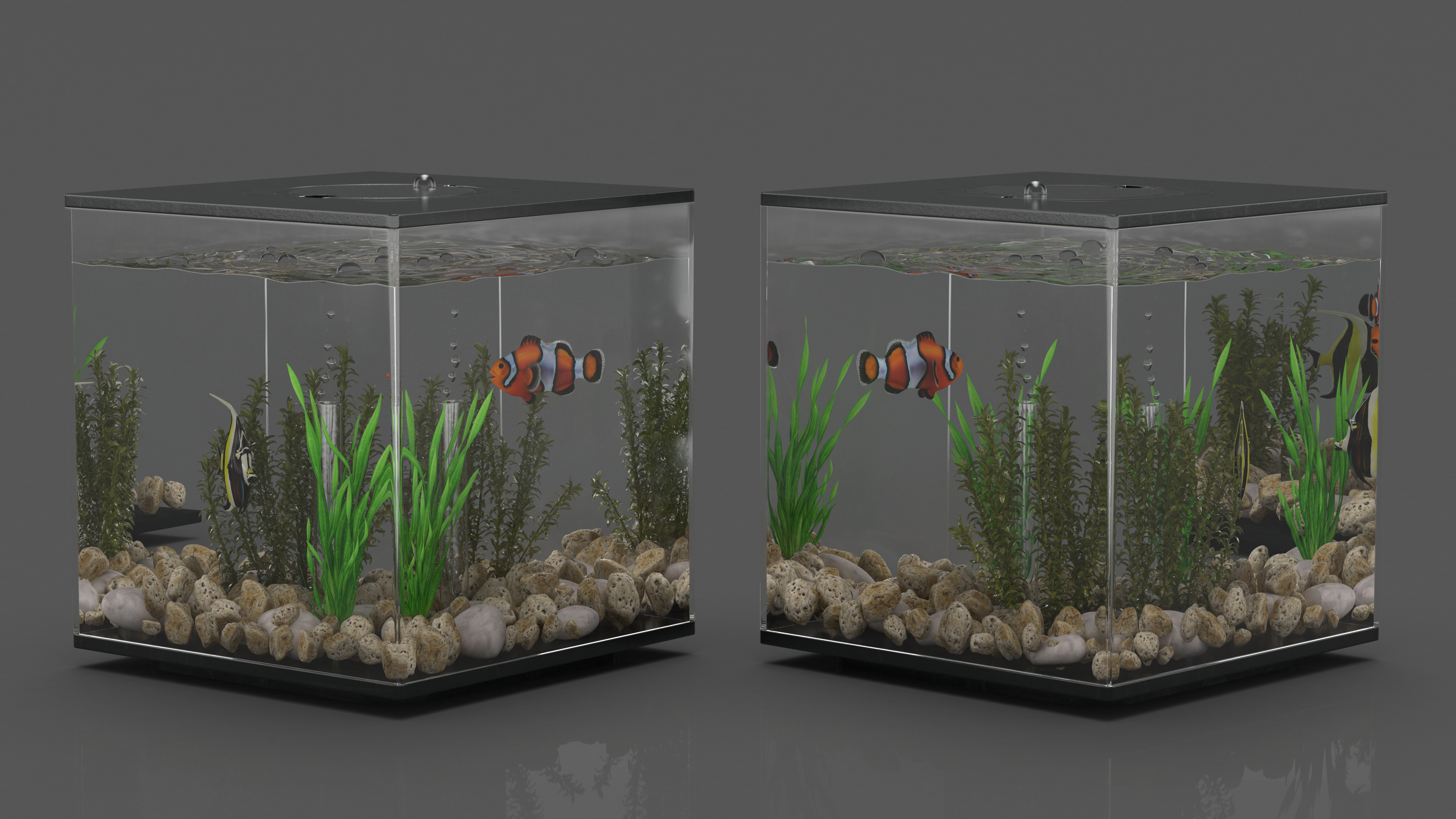 Aquarium Cube Black 3D model