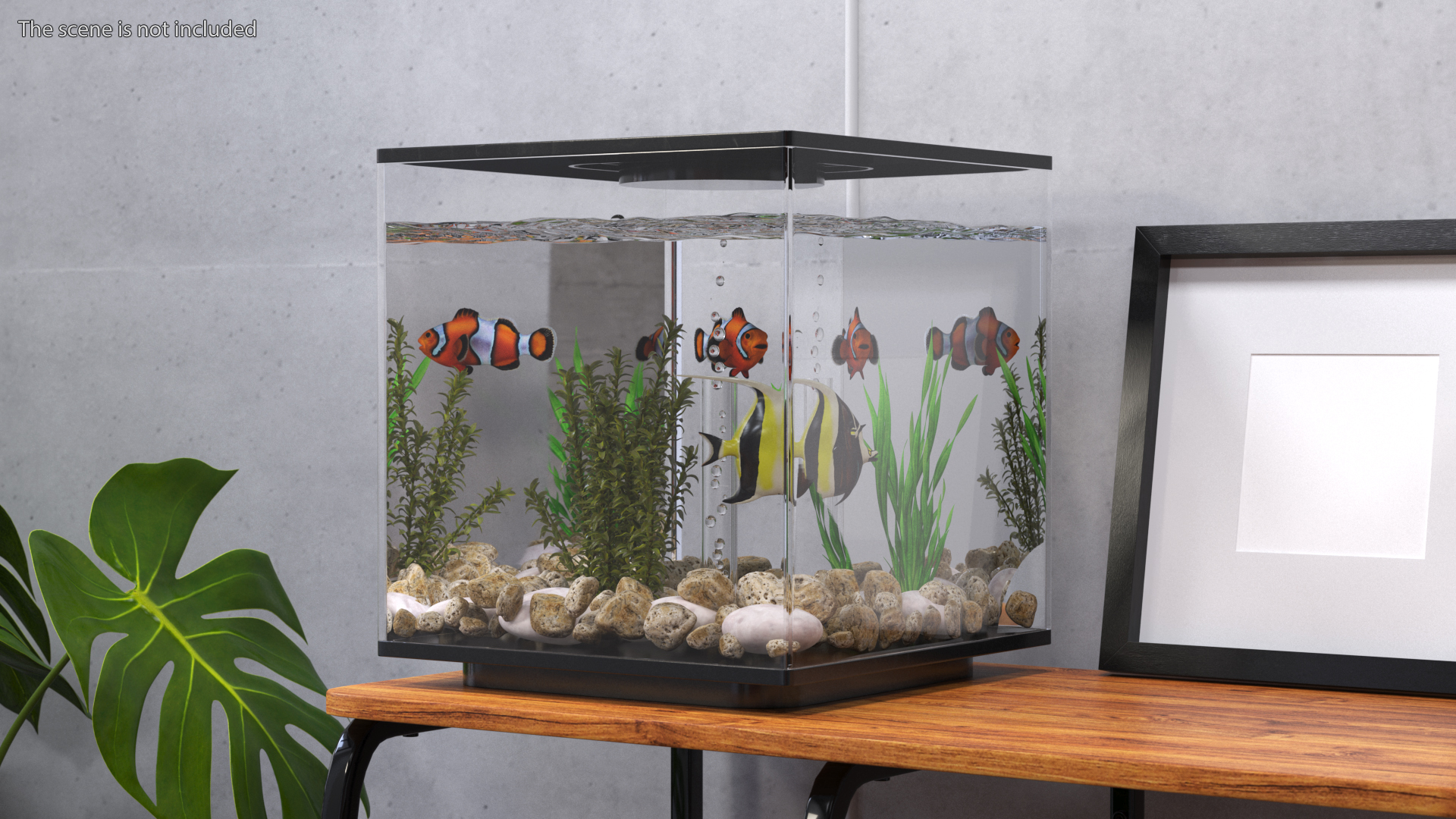 Aquarium Cube Black 3D model