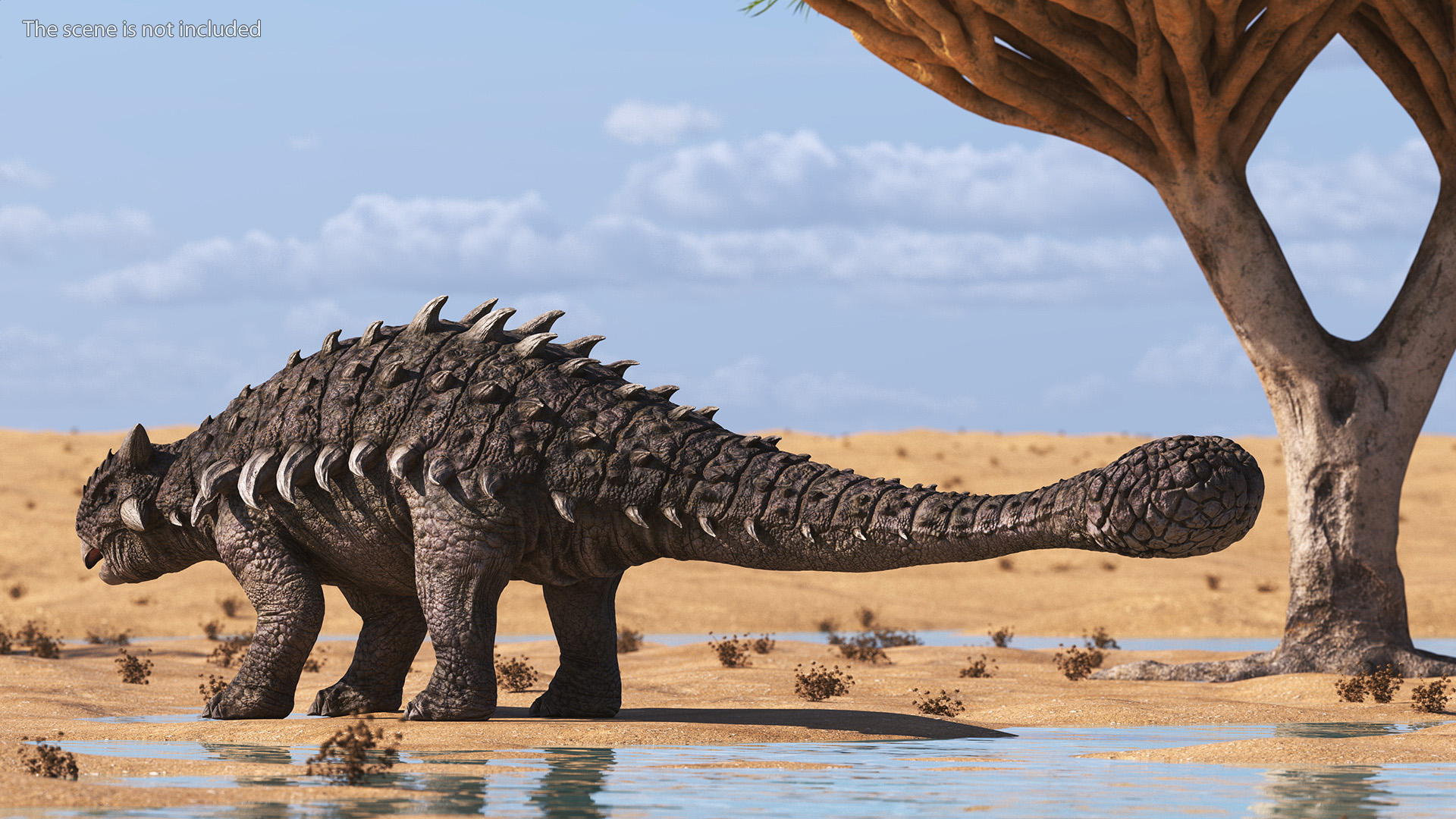 Ankylosaurus from Desert Habitats Rigged for Maya 3D model