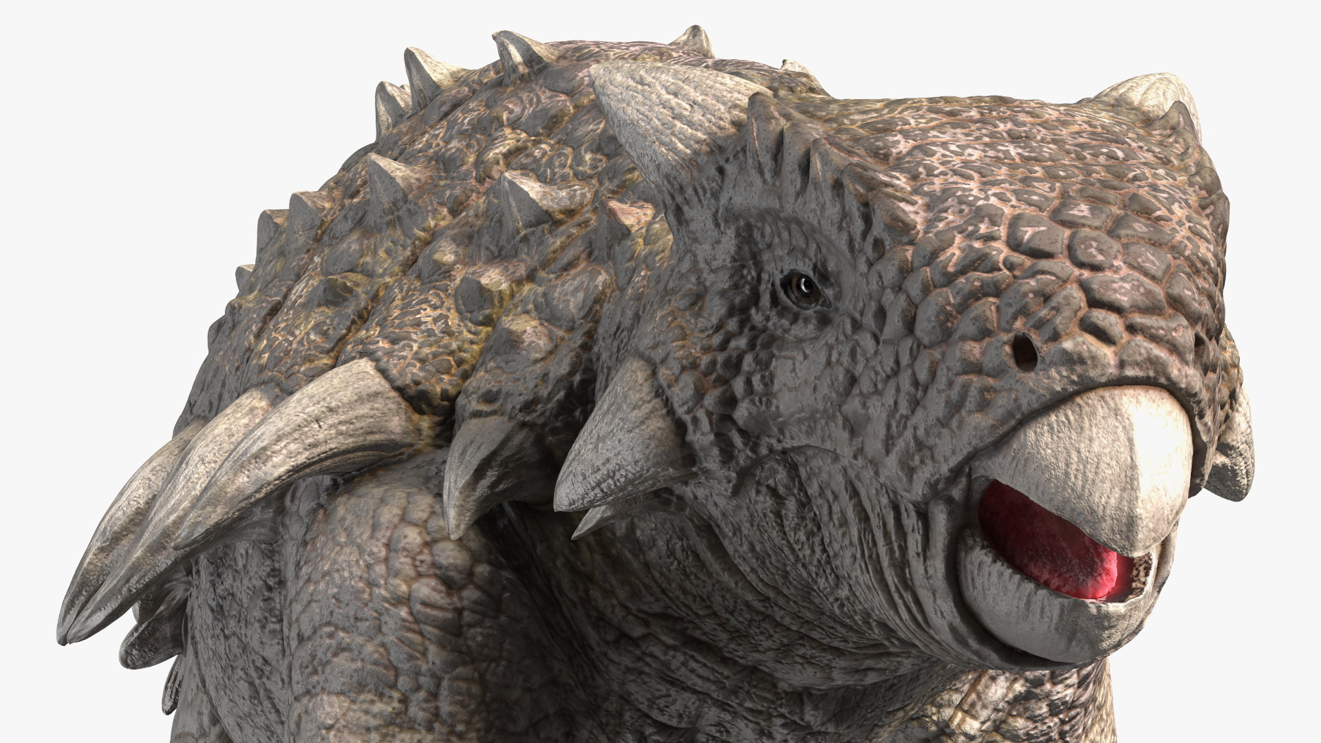 Ankylosaurus from Desert Habitats Rigged for Maya 3D model