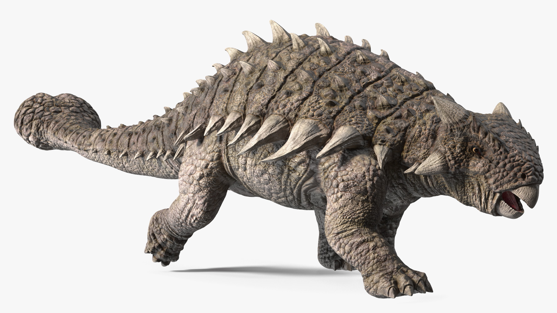 Ankylosaurus from Desert Habitats Rigged for Maya 3D model