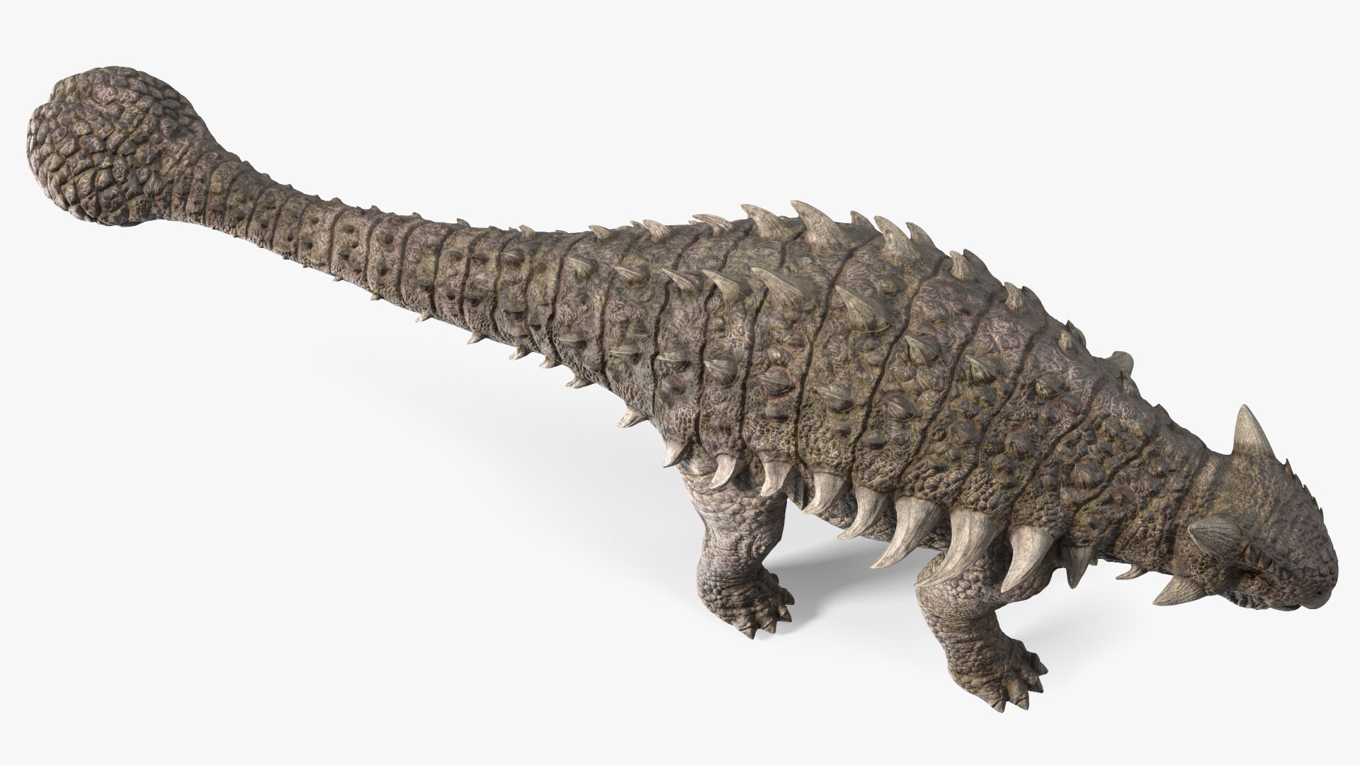 Ankylosaurus from Desert Habitats Rigged for Maya 3D model