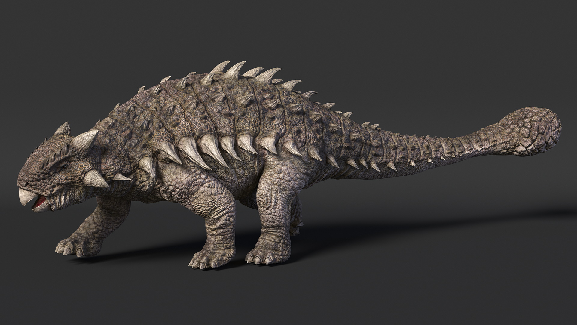 Ankylosaurus from Desert Habitats Rigged for Maya 3D model