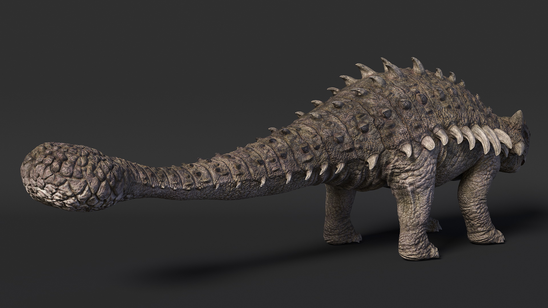 Ankylosaurus from Desert Habitats Rigged for Maya 3D model