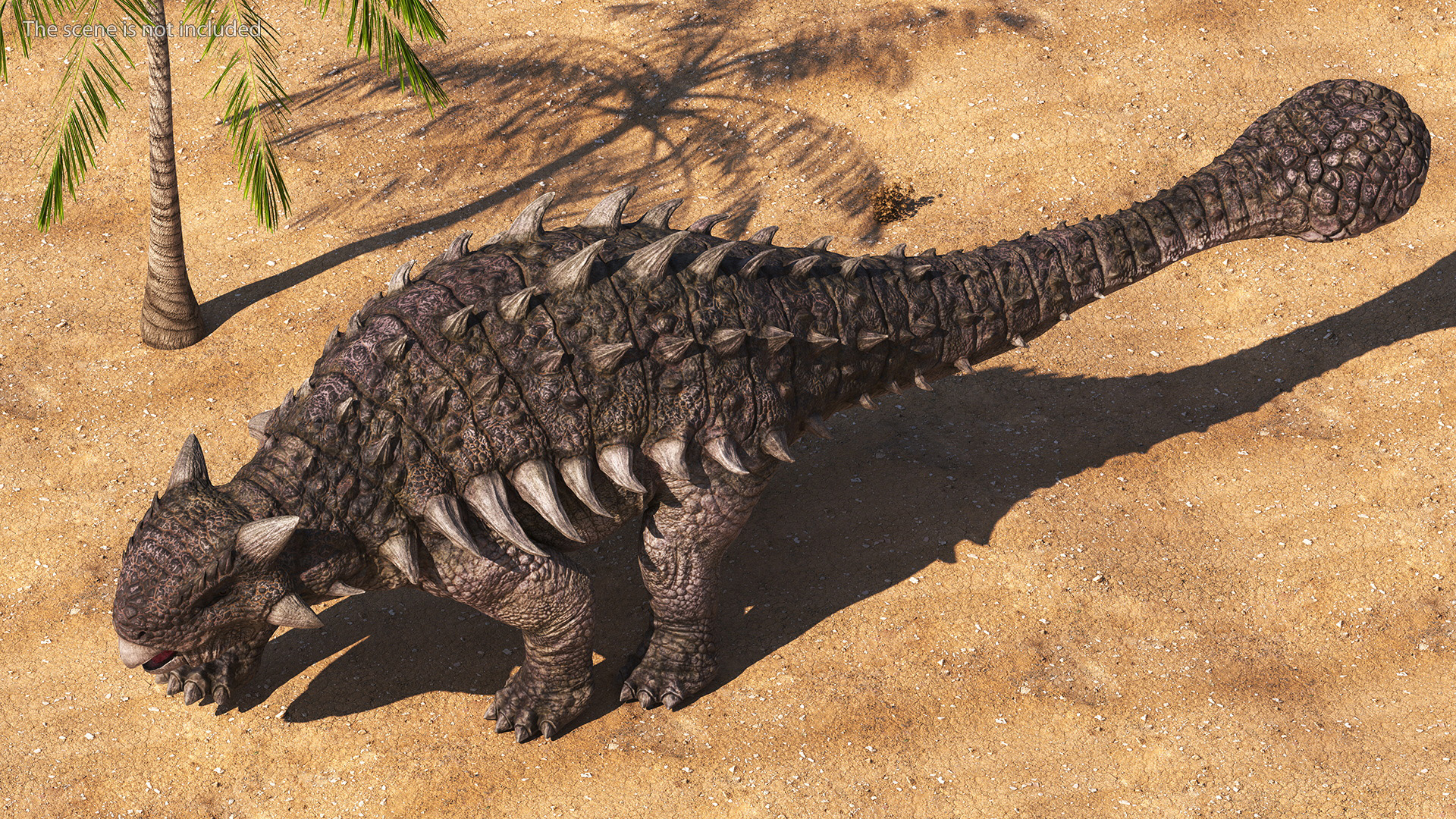 Ankylosaurus from Desert Habitats Rigged for Maya 3D model