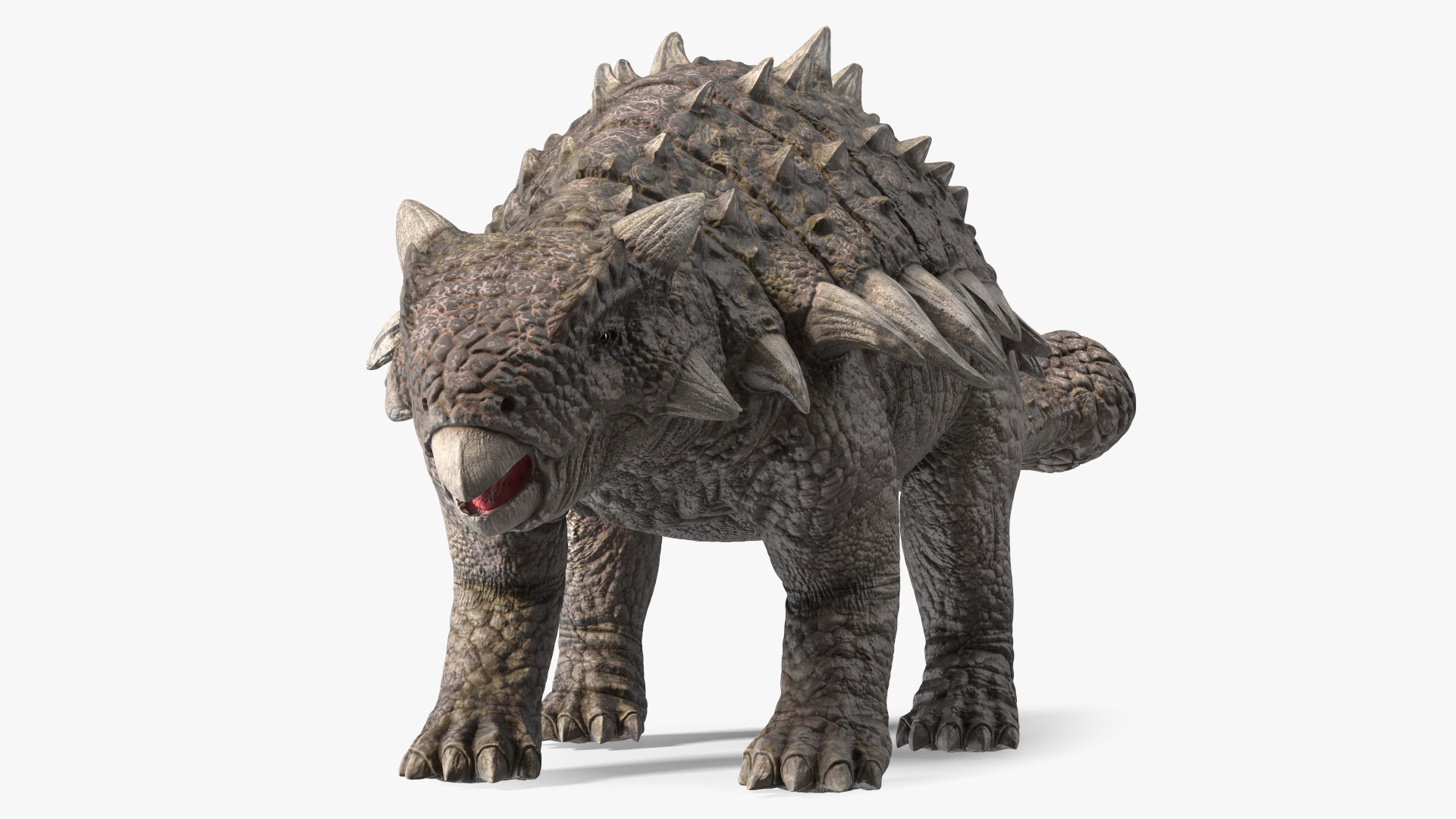 Ankylosaurus from Desert Habitats Rigged for Maya 3D model