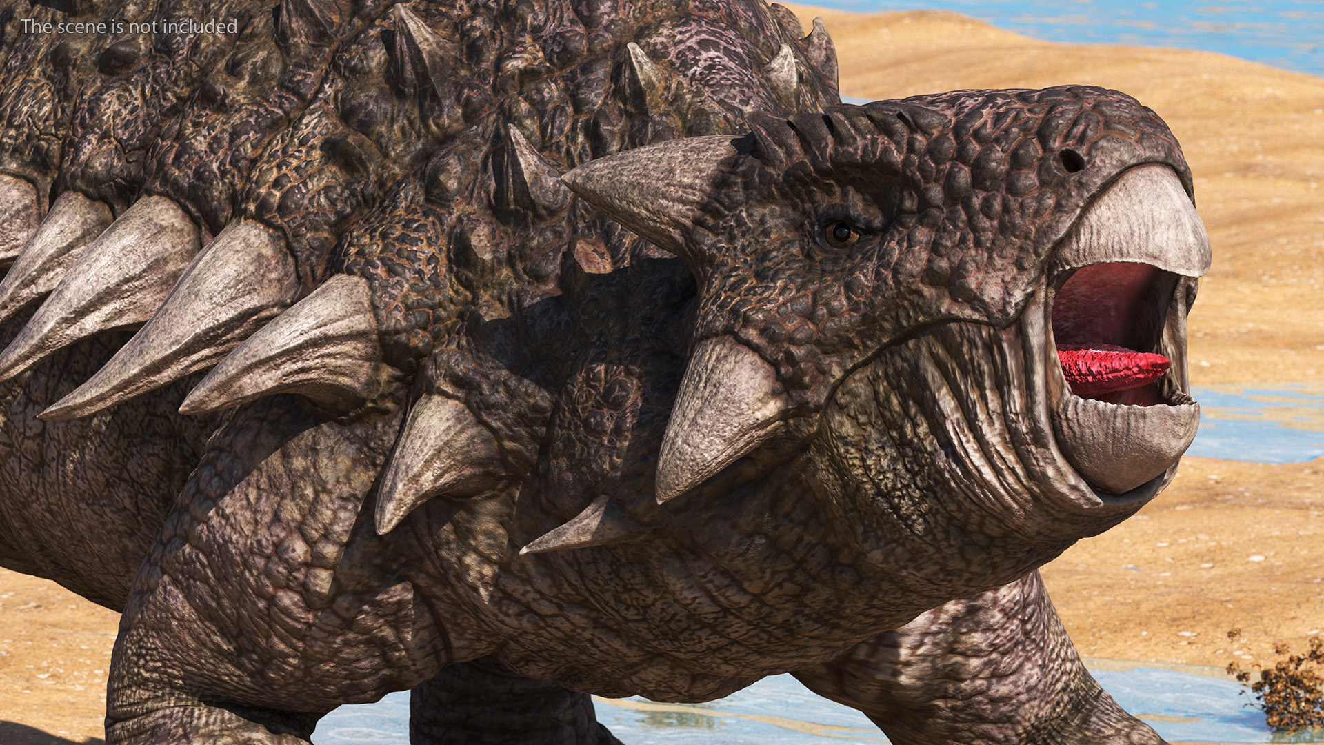 Ankylosaurus from Desert Habitats Rigged for Maya 3D model