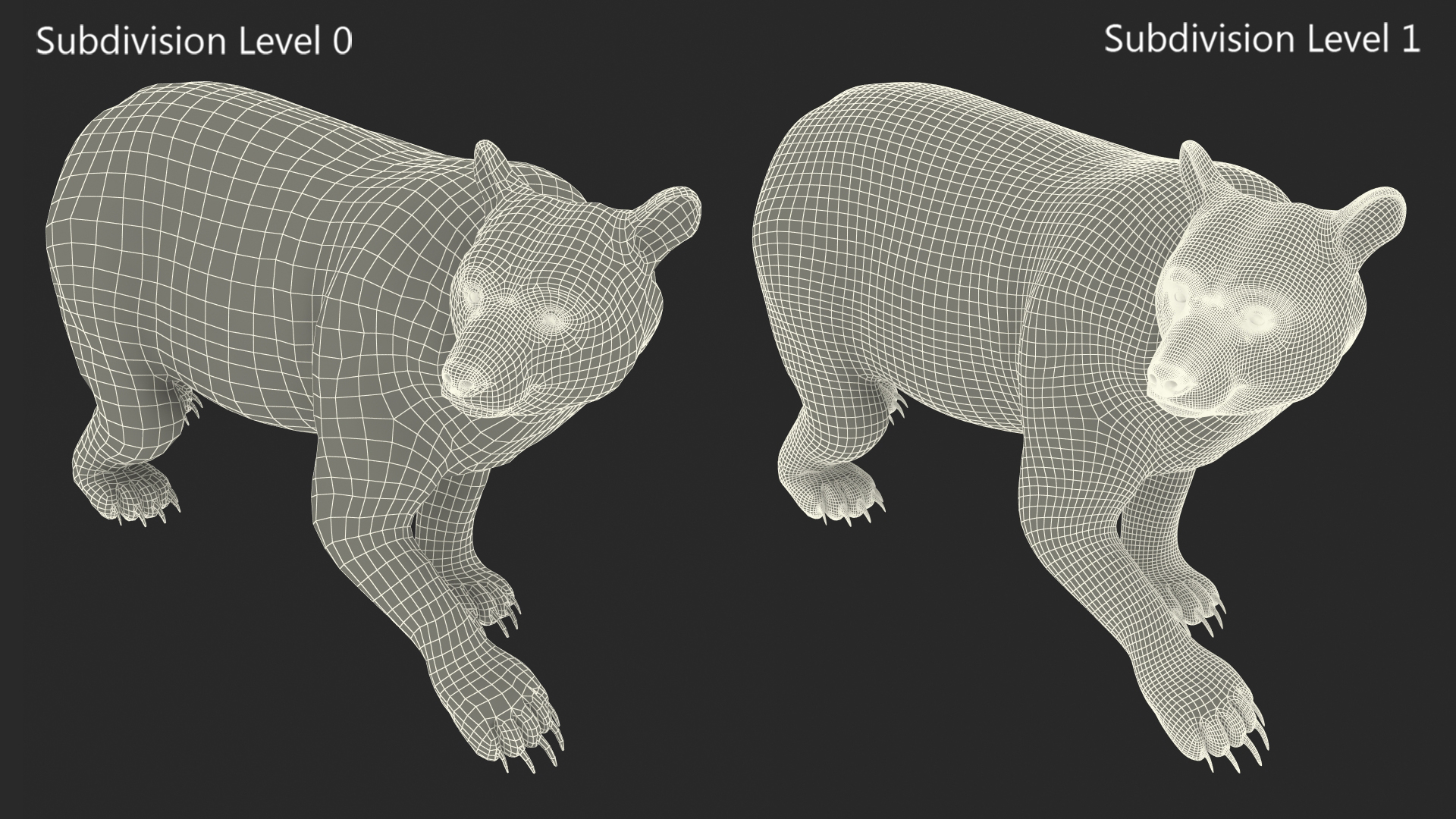 3D model Black Bear in Walking Pose Fur
