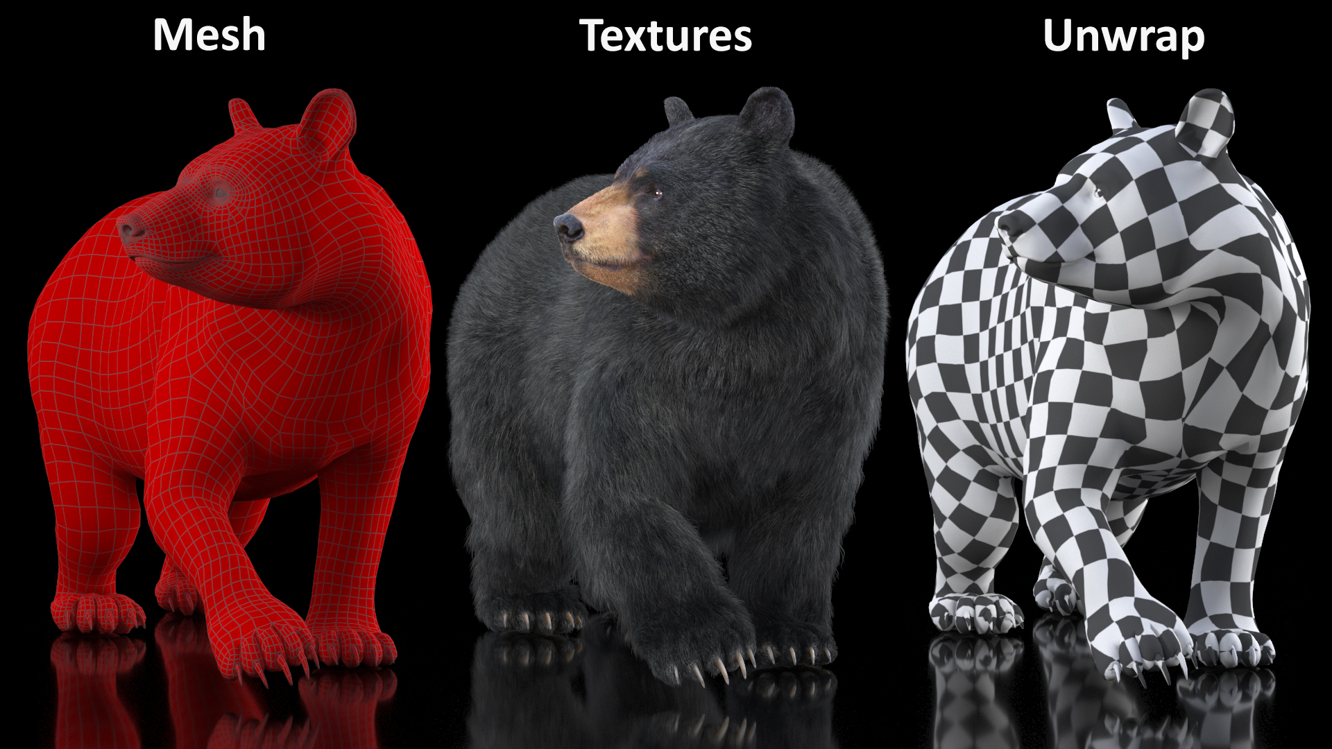 3D model Black Bear in Walking Pose Fur