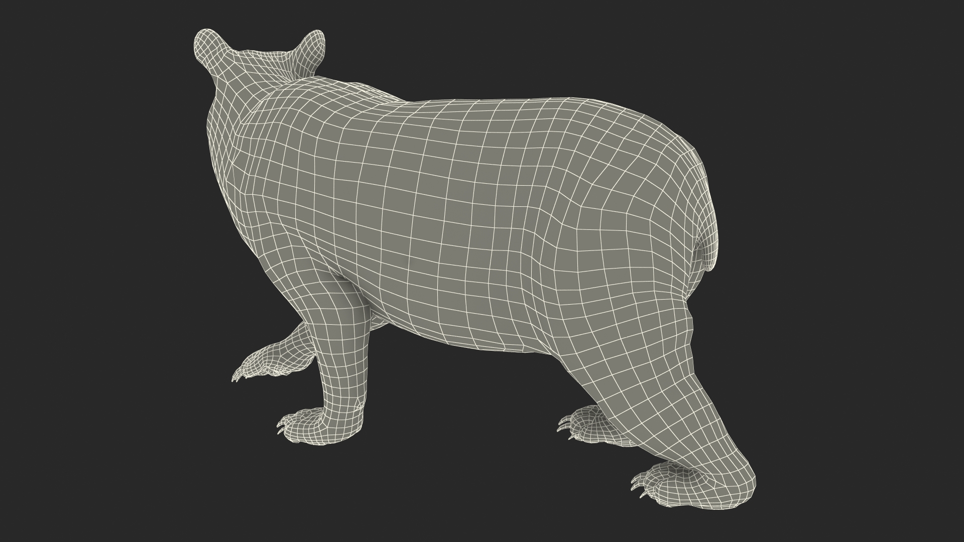 3D model Black Bear in Walking Pose Fur