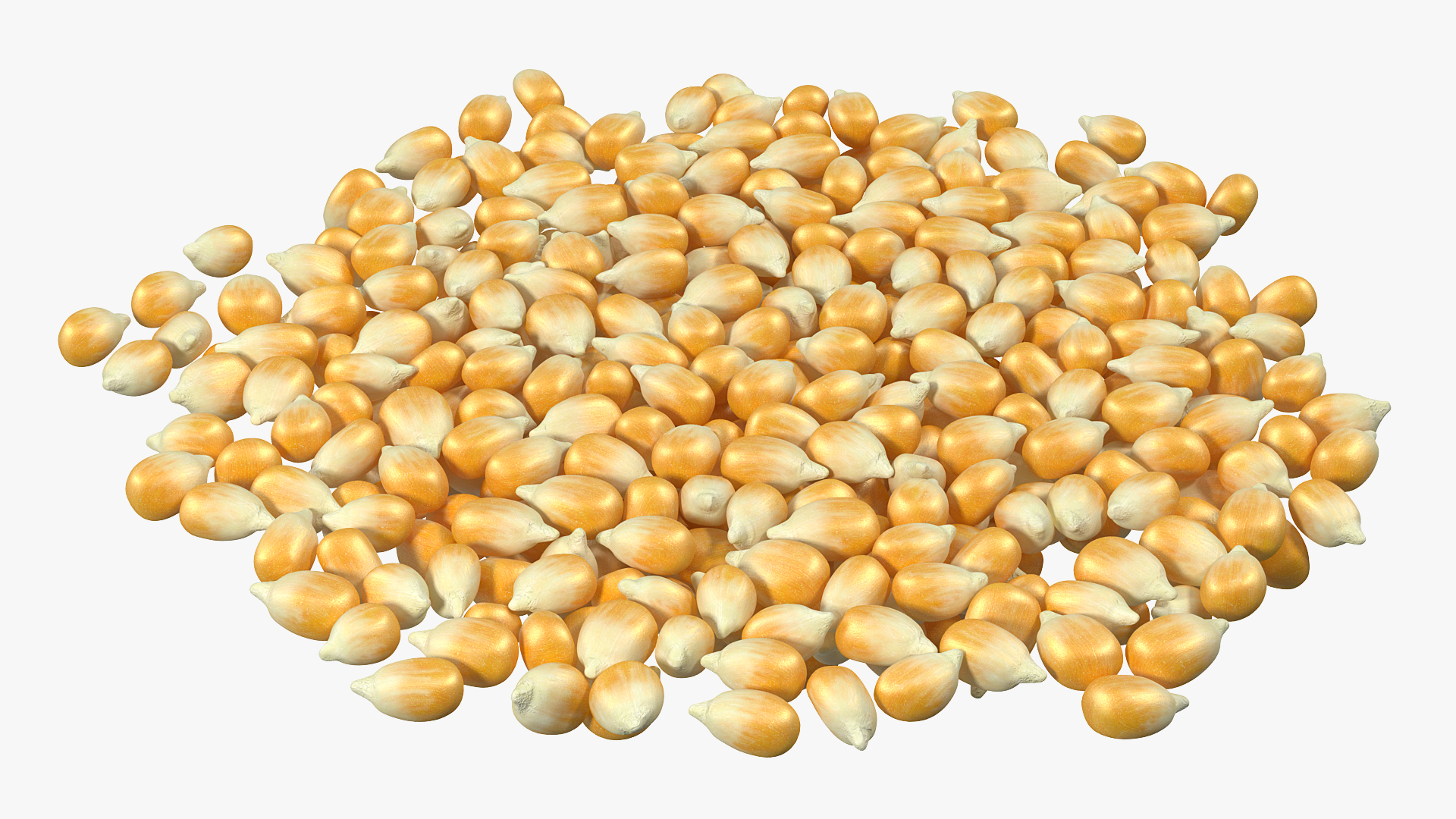 3D model Corn Seeds Pile
