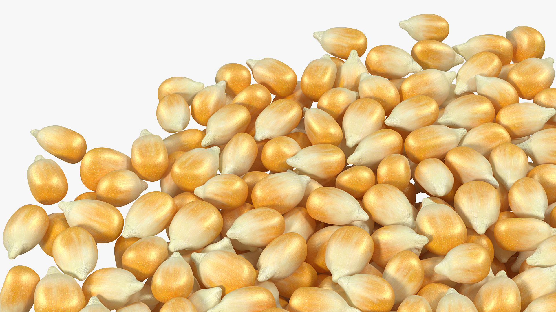 3D model Corn Seeds Pile