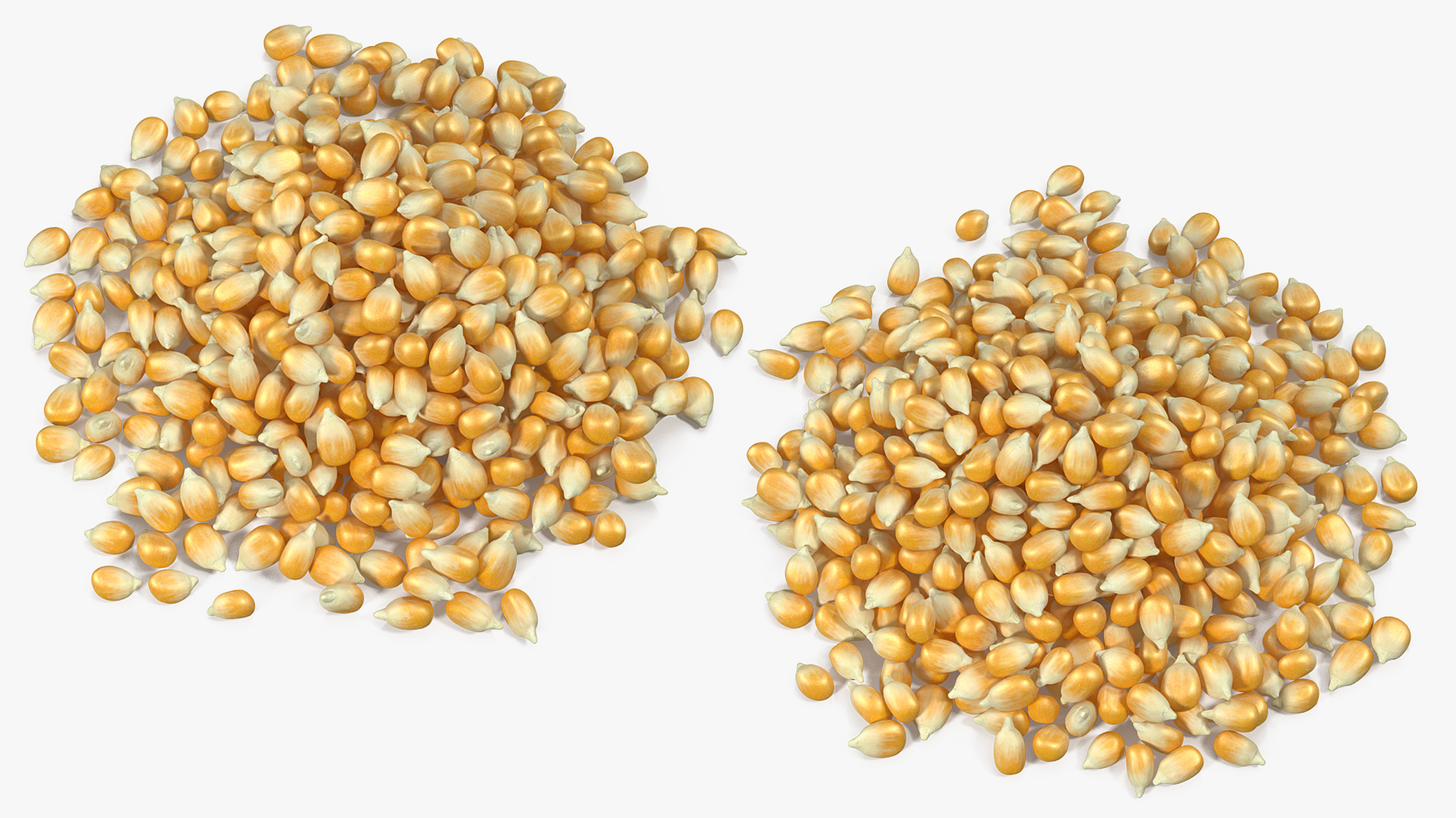 3D model Corn Seeds Pile