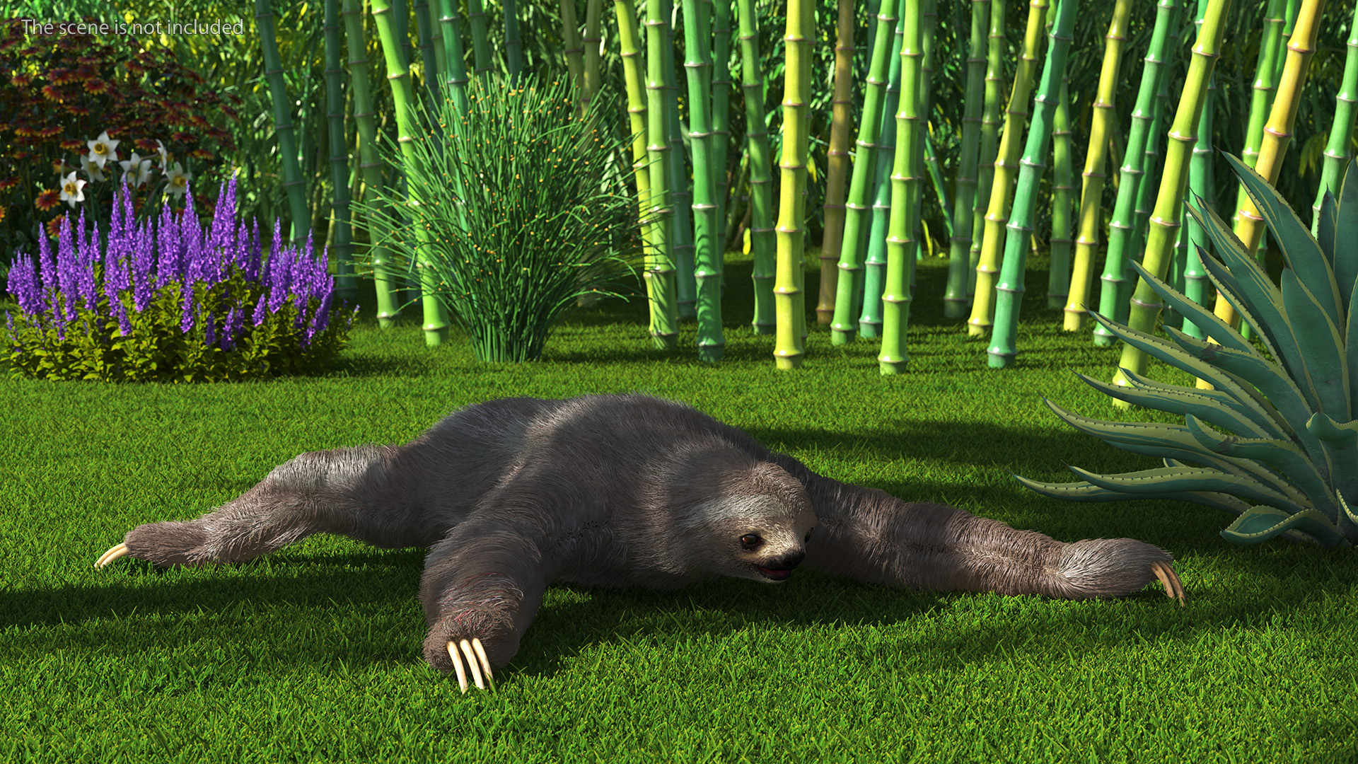 Sloth Fur 3D model