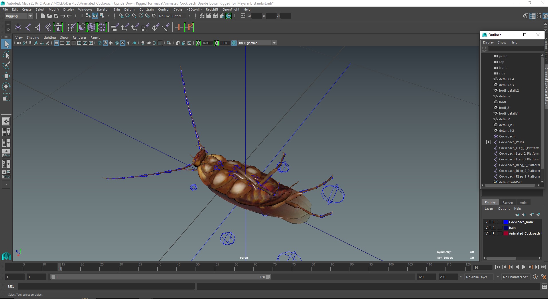 3D Animated Cockroach Upside Down Rigged for Maya
