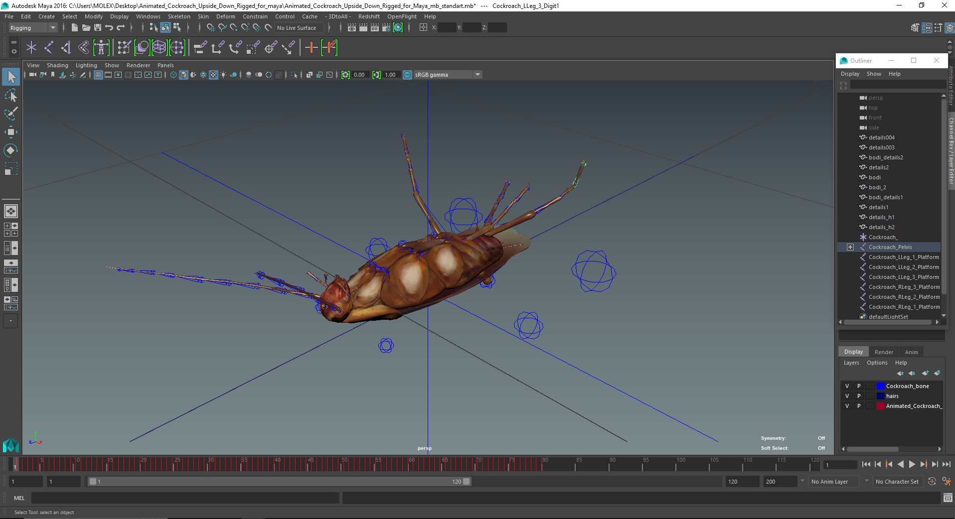 3D Animated Cockroach Upside Down Rigged for Maya