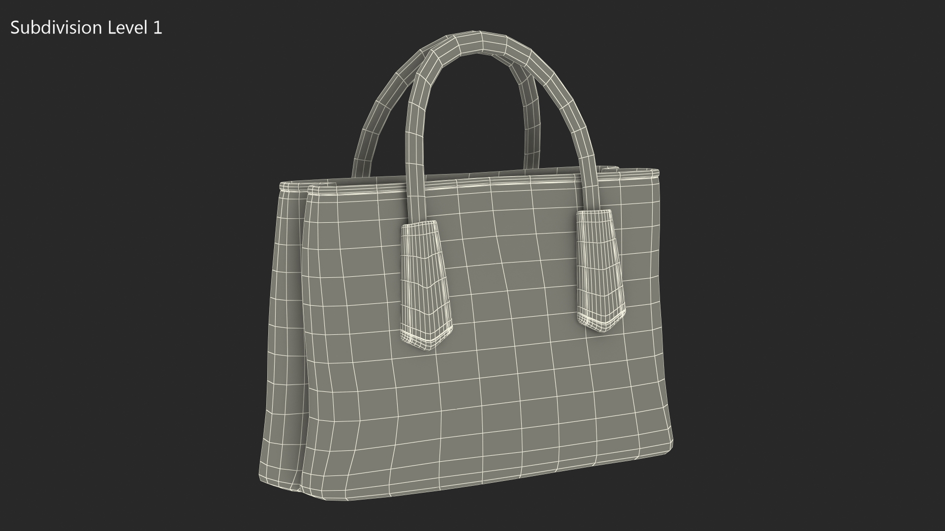 3D Women Leather Bag Brown model