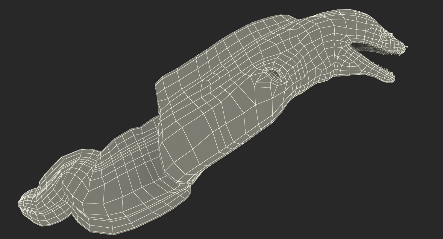 3D Murena Pose 3 model