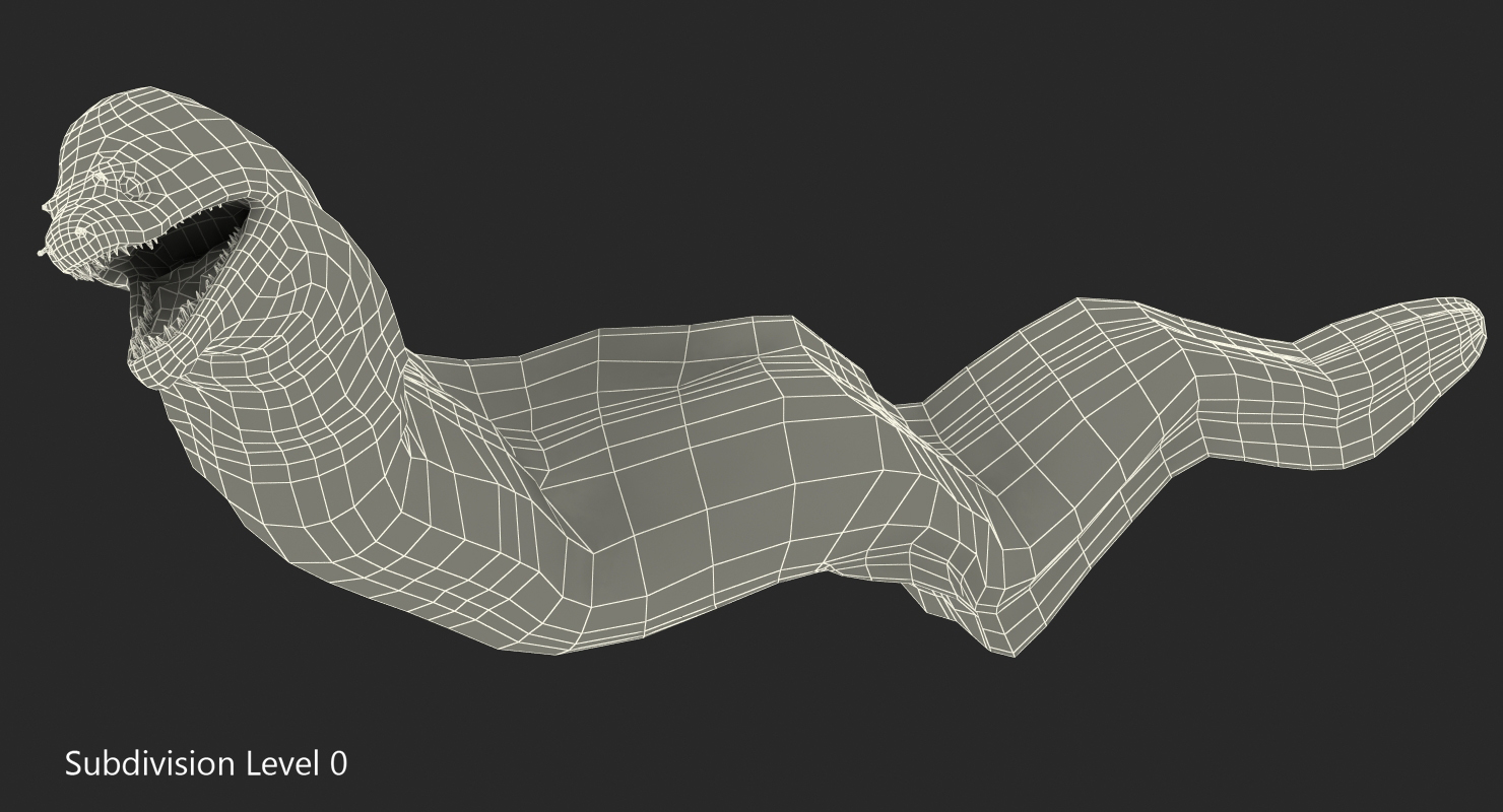 3D Murena Pose 3 model