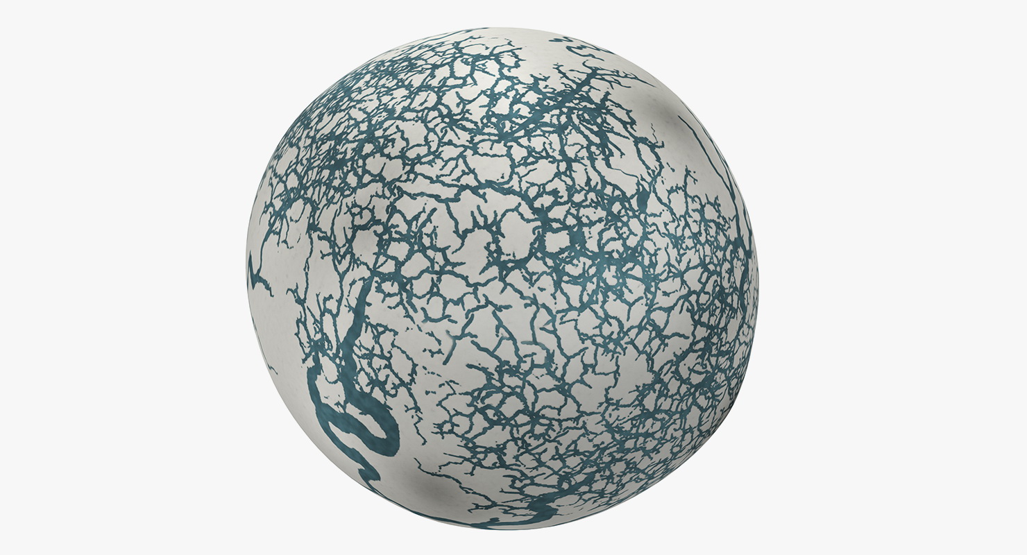 3D Fresh Dinosaur Egg model