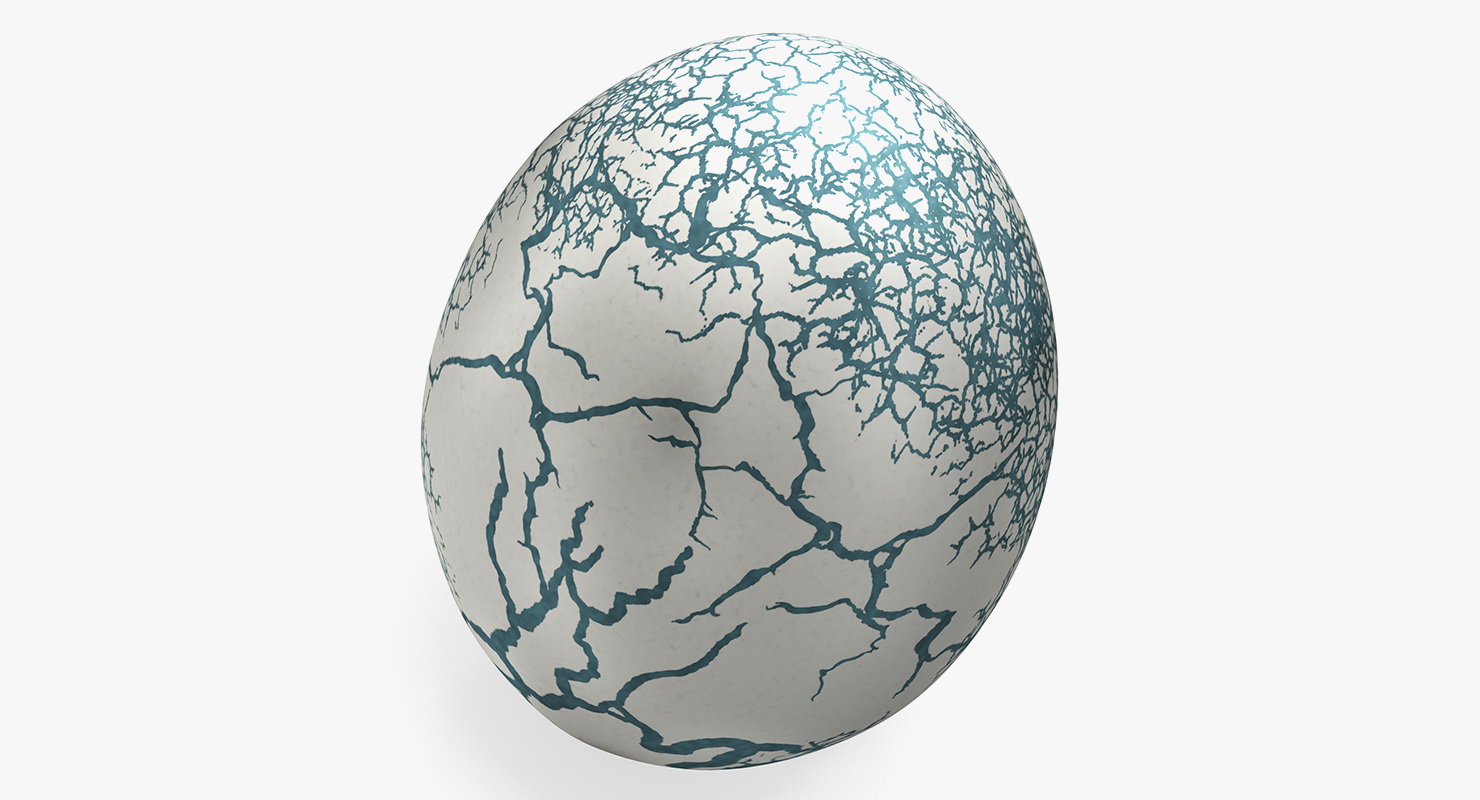 3D Fresh Dinosaur Egg model