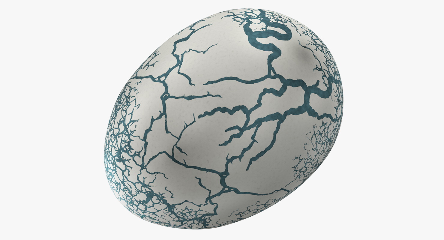 3D Fresh Dinosaur Egg model