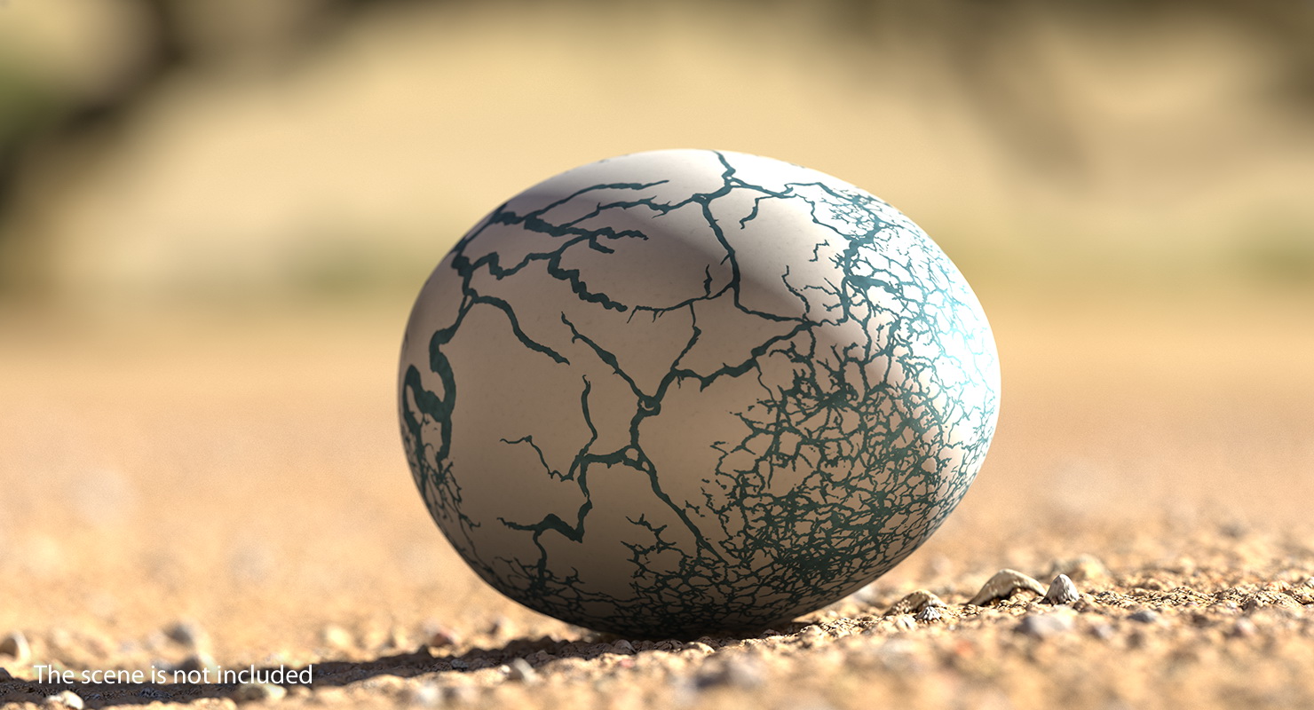 3D Fresh Dinosaur Egg model