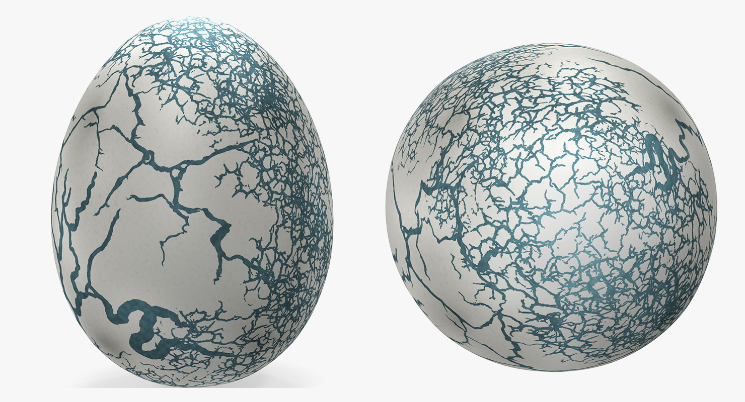 3D Fresh Dinosaur Egg model