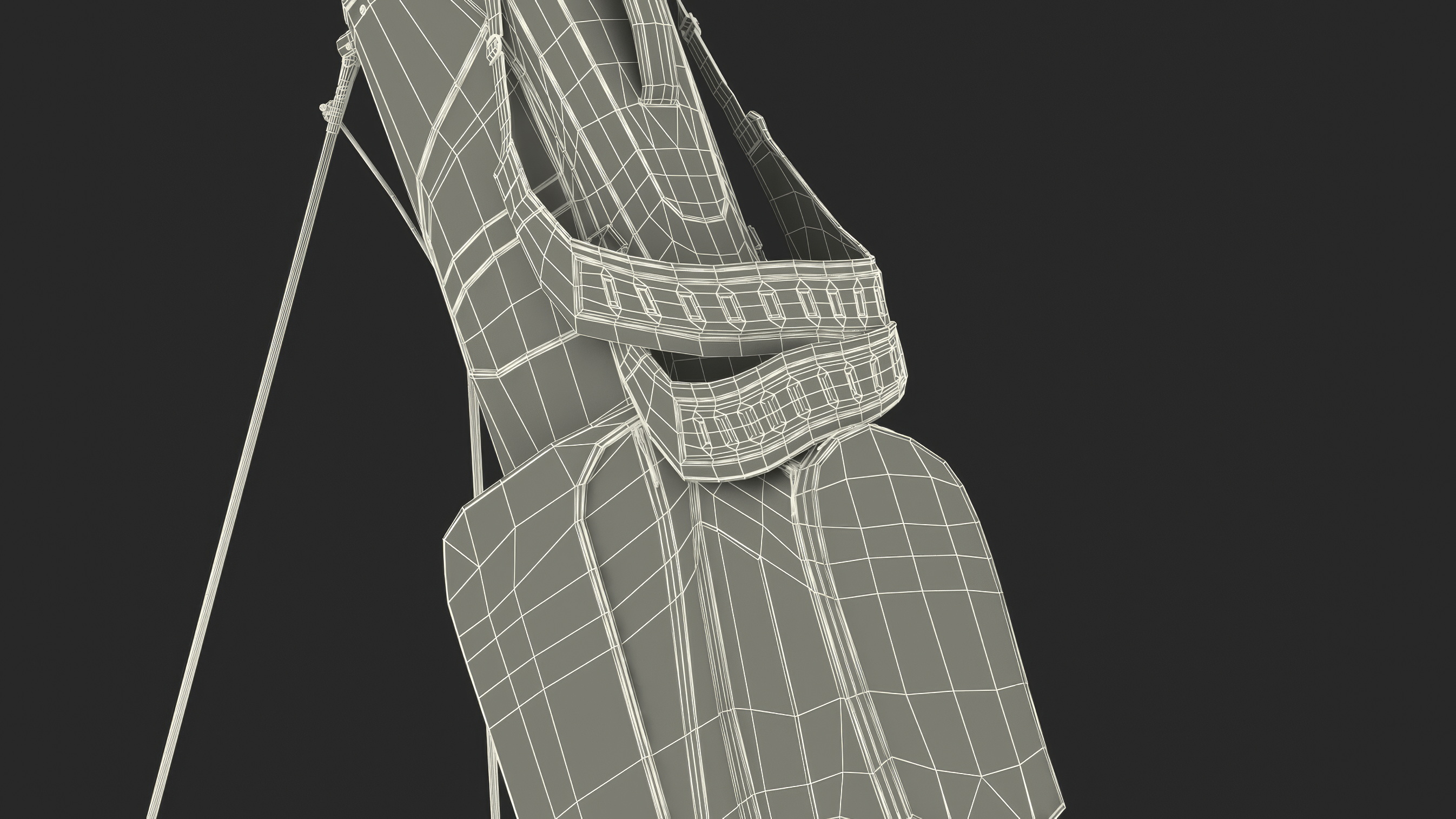 Golf Bag with Clubs 3D model